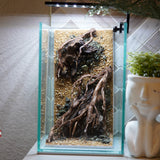 [SCAPE-48] Nature Aquarium Aquascape Driftwood– 1.6 Gallons