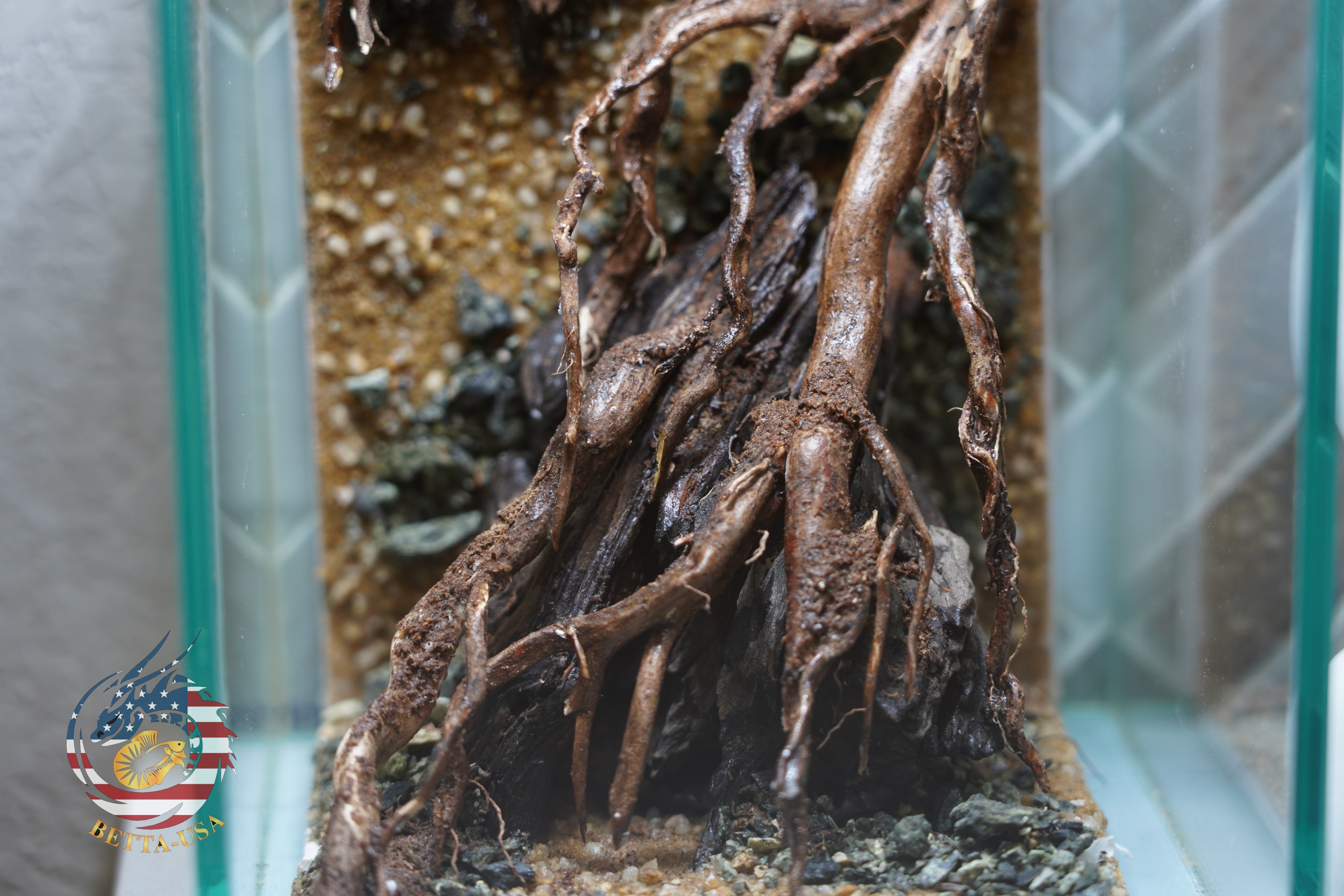 [SCAPE-48] Nature Aquarium Aquascape Driftwood– 1.6 Gallons