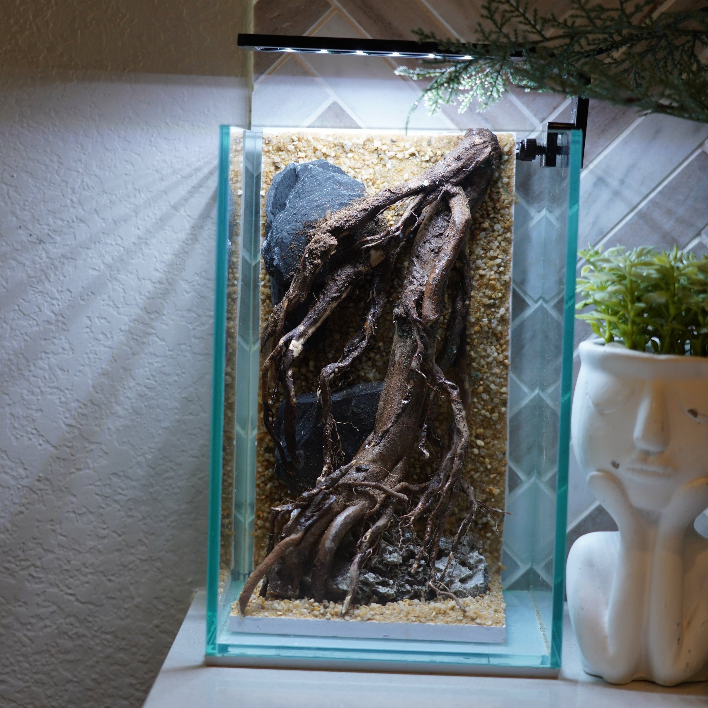 [SCAPE-49] Nature Aquarium Aquascape Driftwood– 1.6 Gallons