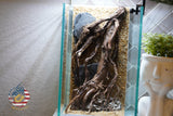 [SCAPE-49] Nature Aquarium Aquascape Driftwood– 1.6 Gallons