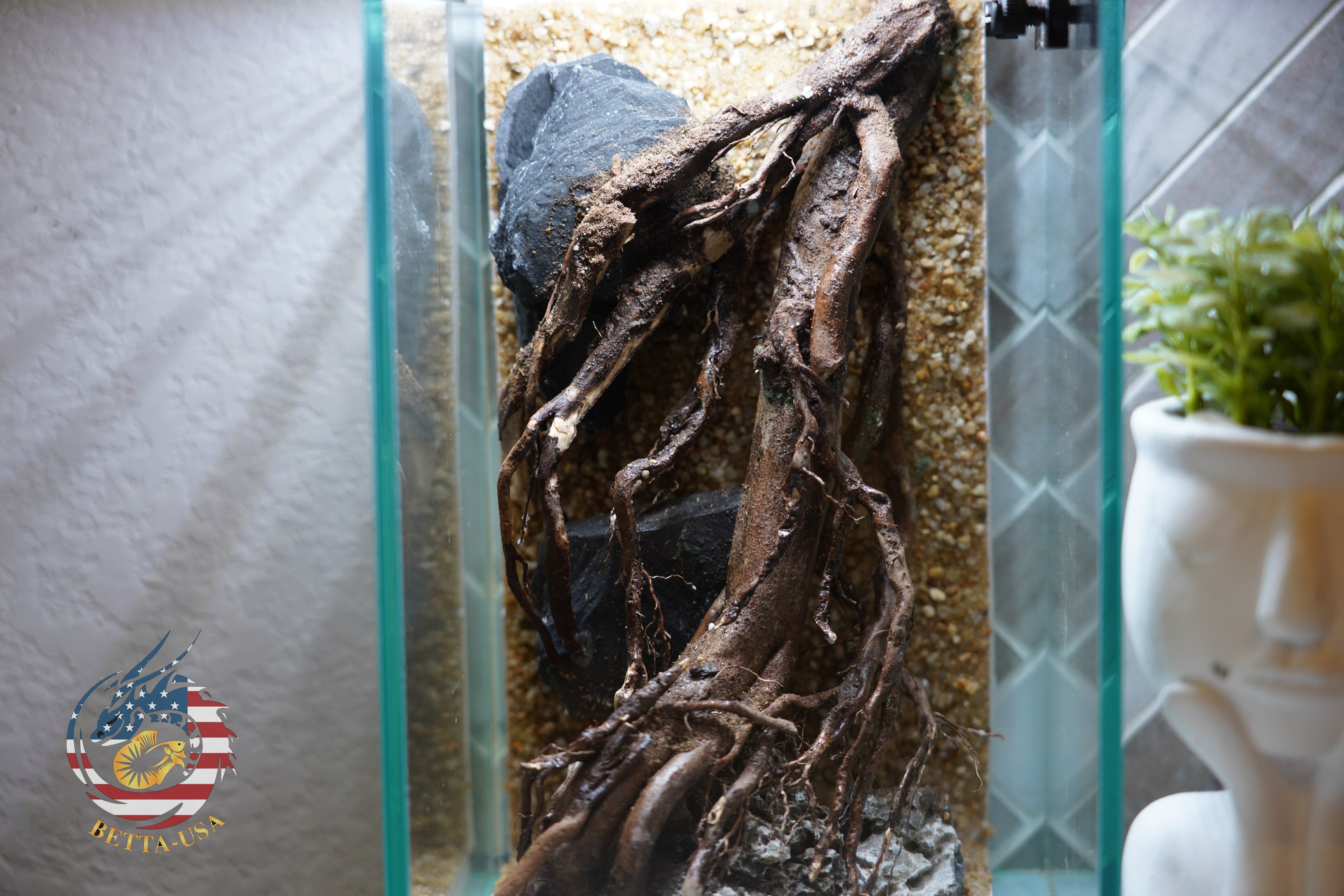 [SCAPE-49] Nature Aquarium Aquascape Driftwood– 1.6 Gallons