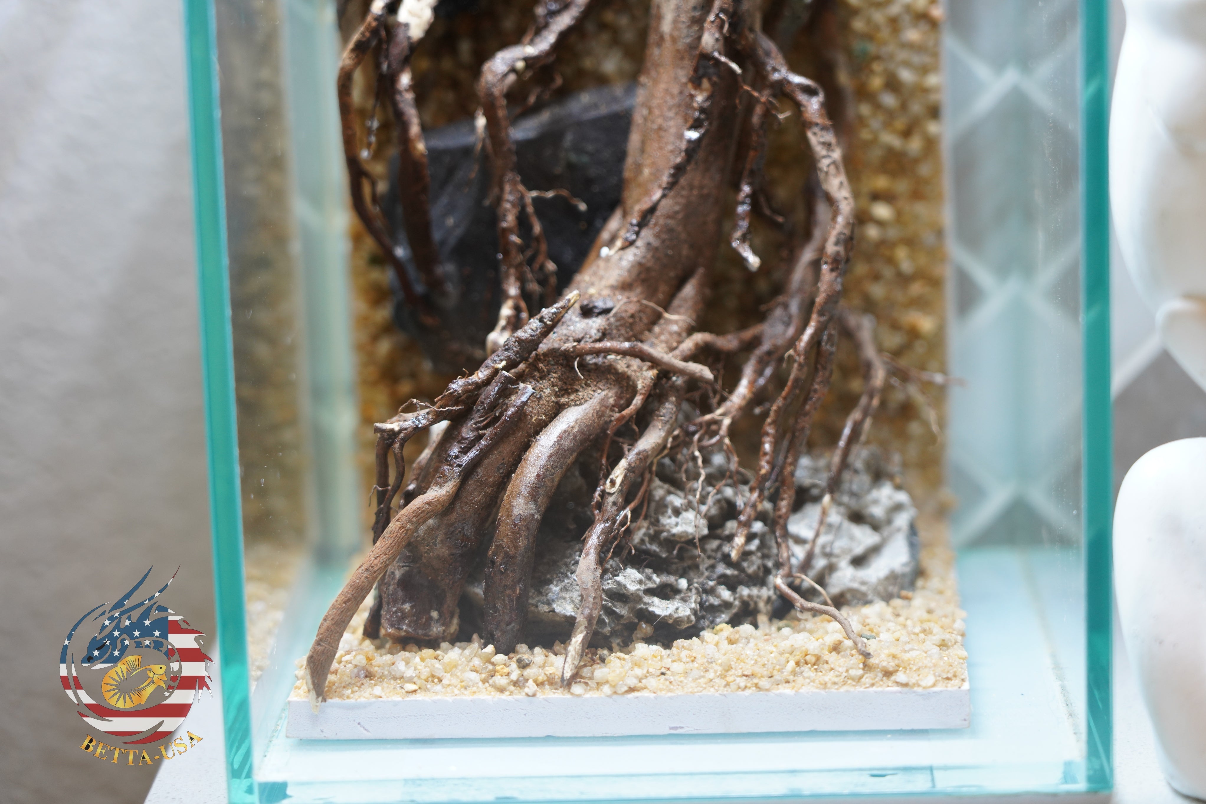 [SCAPE-49] Nature Aquarium Aquascape Driftwood– 1.6 Gallons
