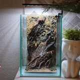 [SCAPE-50] Nature Aquarium Aquascape Driftwood– 1.6 Gallons