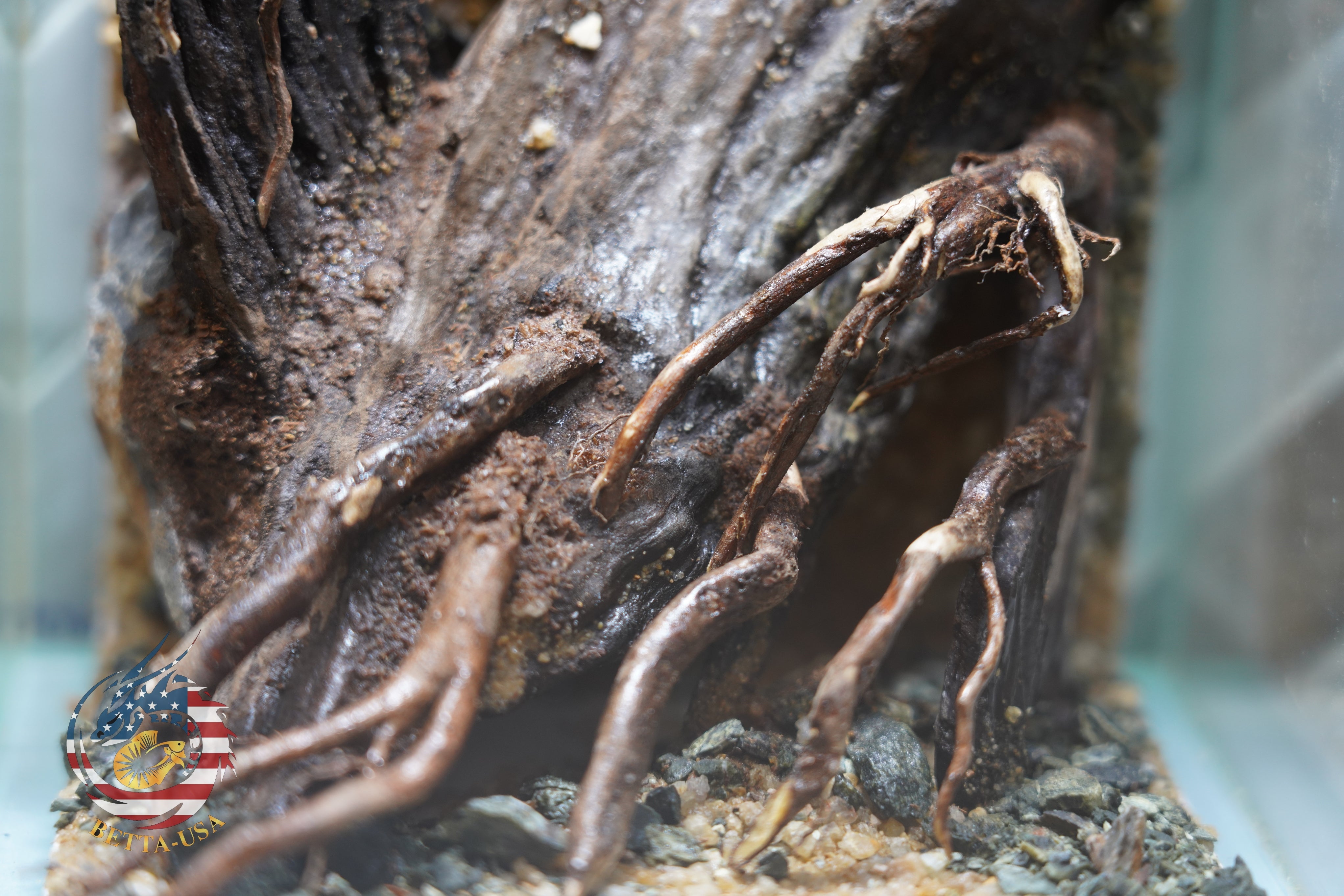 [SCAPE-50] Nature Aquarium Aquascape Driftwood– 1.6 Gallons