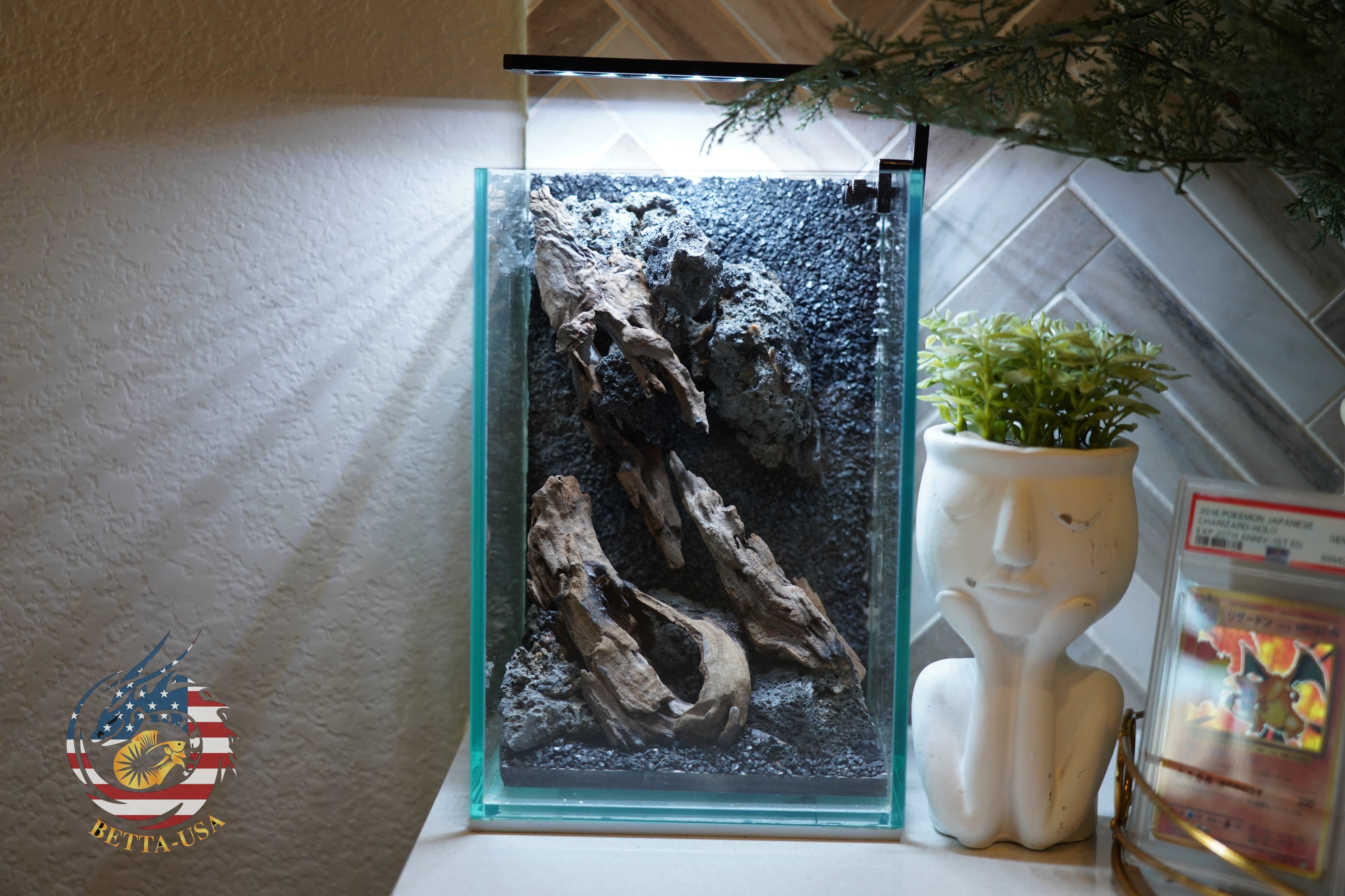 [SCAPE-51] Nature Aquarium Aquascape Driftwood– 1.6 Gallons