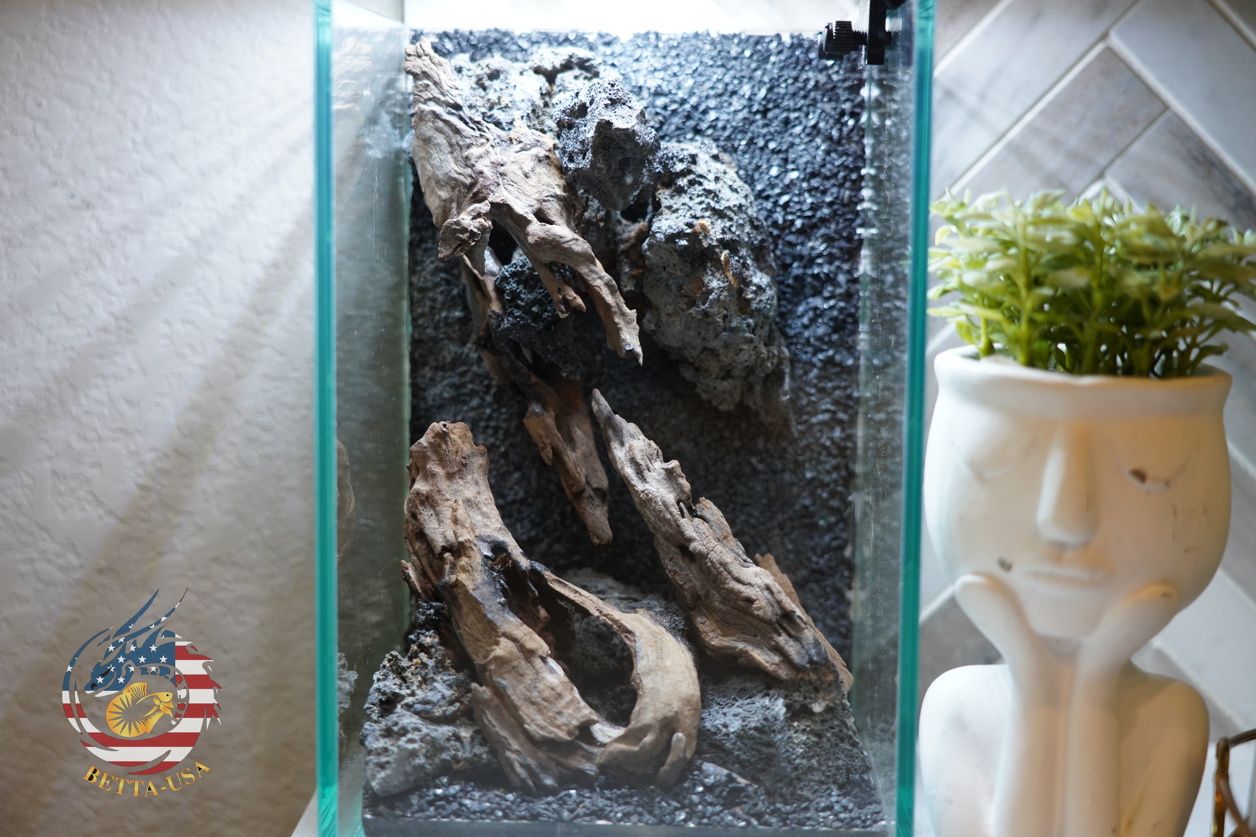 [SCAPE-51] Nature Aquarium Aquascape Driftwood– 1.6 Gallons