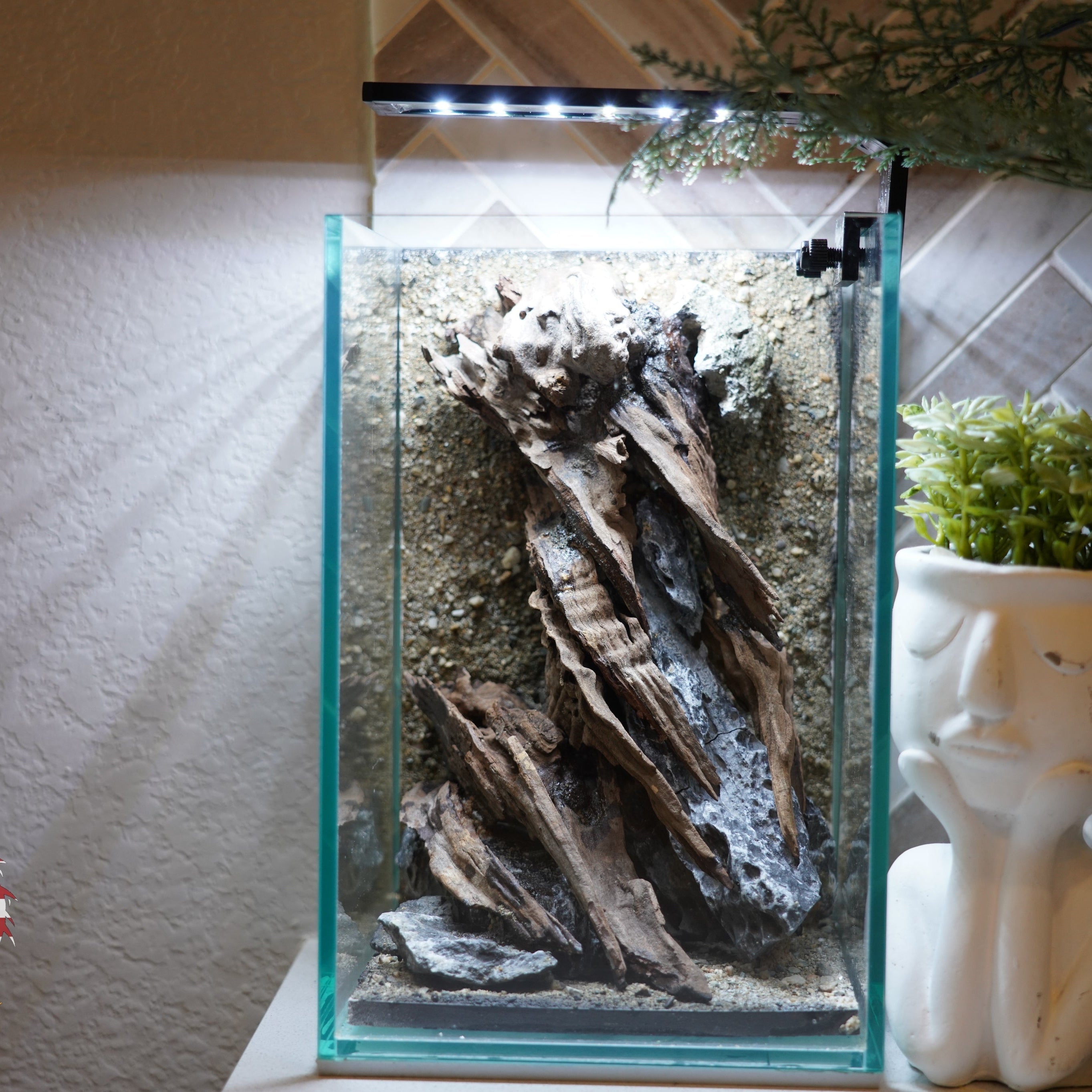 [SCAPE-52] Nature Aquarium Aquascape Driftwood– 1.6 Gallons