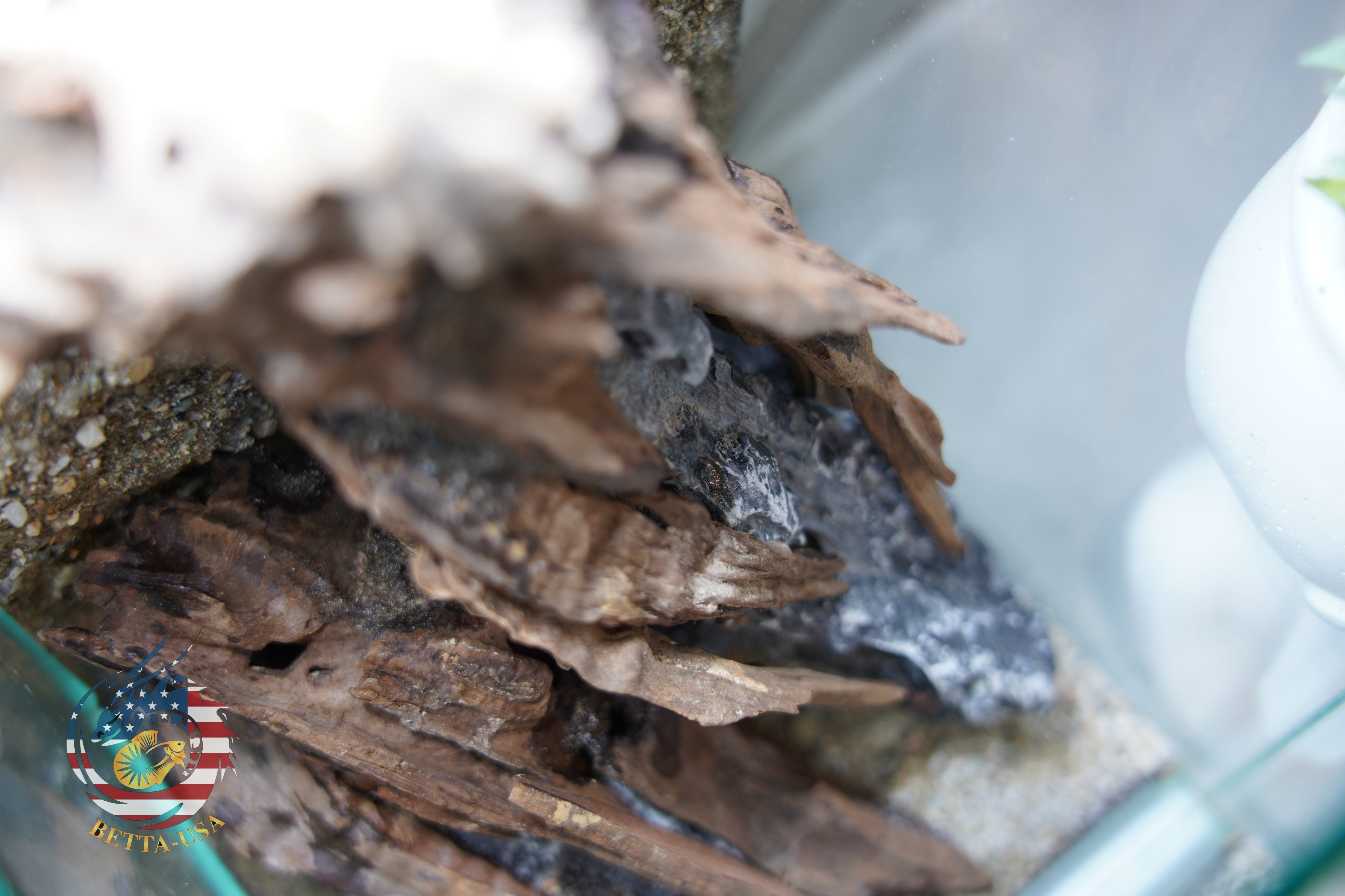 [SCAPE-52] Nature Aquarium Aquascape Driftwood– 1.6 Gallons