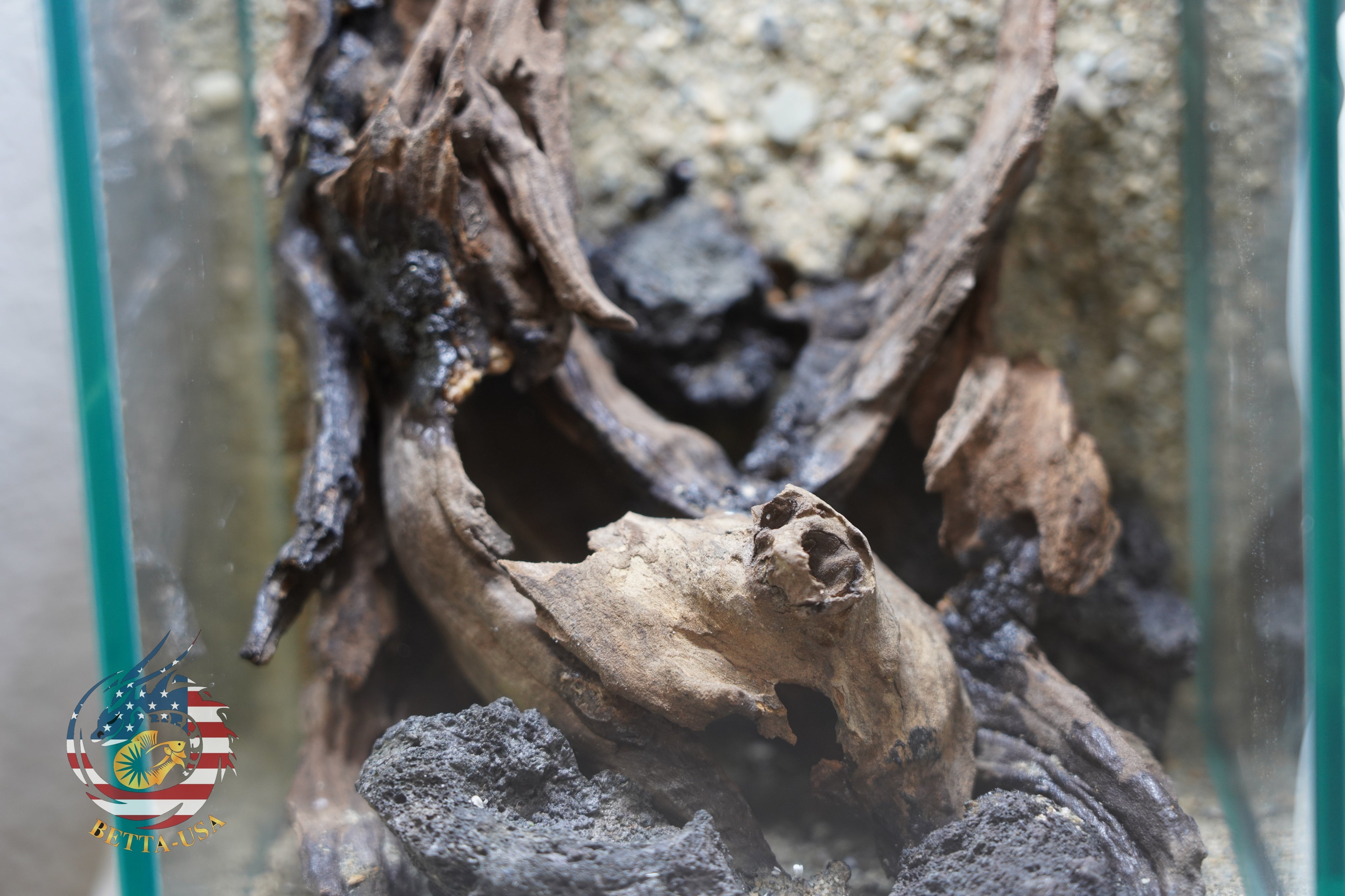 [SCAPE-53] Nature Aquarium Aquascape Driftwood– 1.6 Gallons