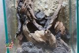 [SCAPE-53] Nature Aquarium Aquascape Driftwood– 1.6 Gallons