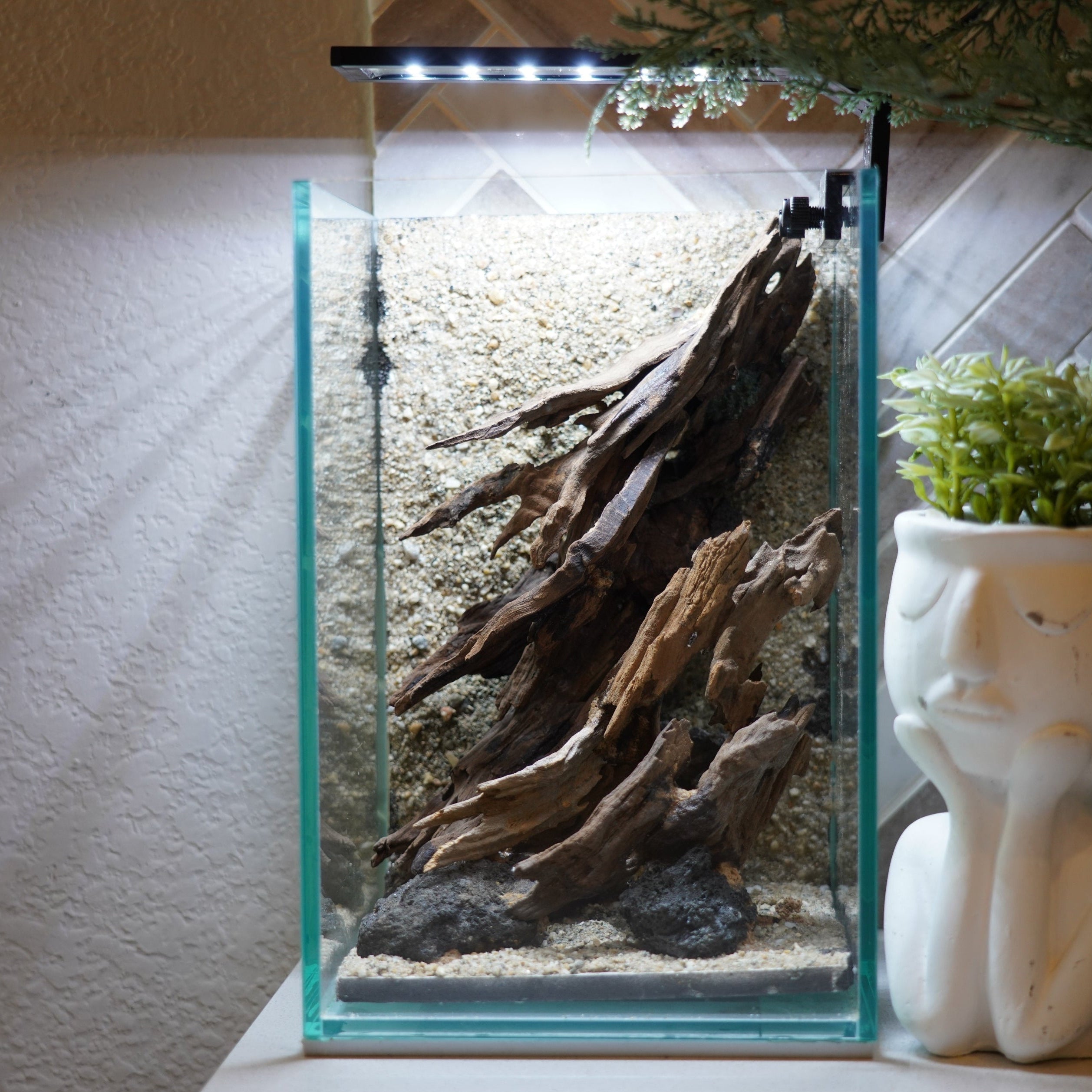 [SCAPE-54] Nature Aquarium Aquascape Driftwood– 1.6 Gallons