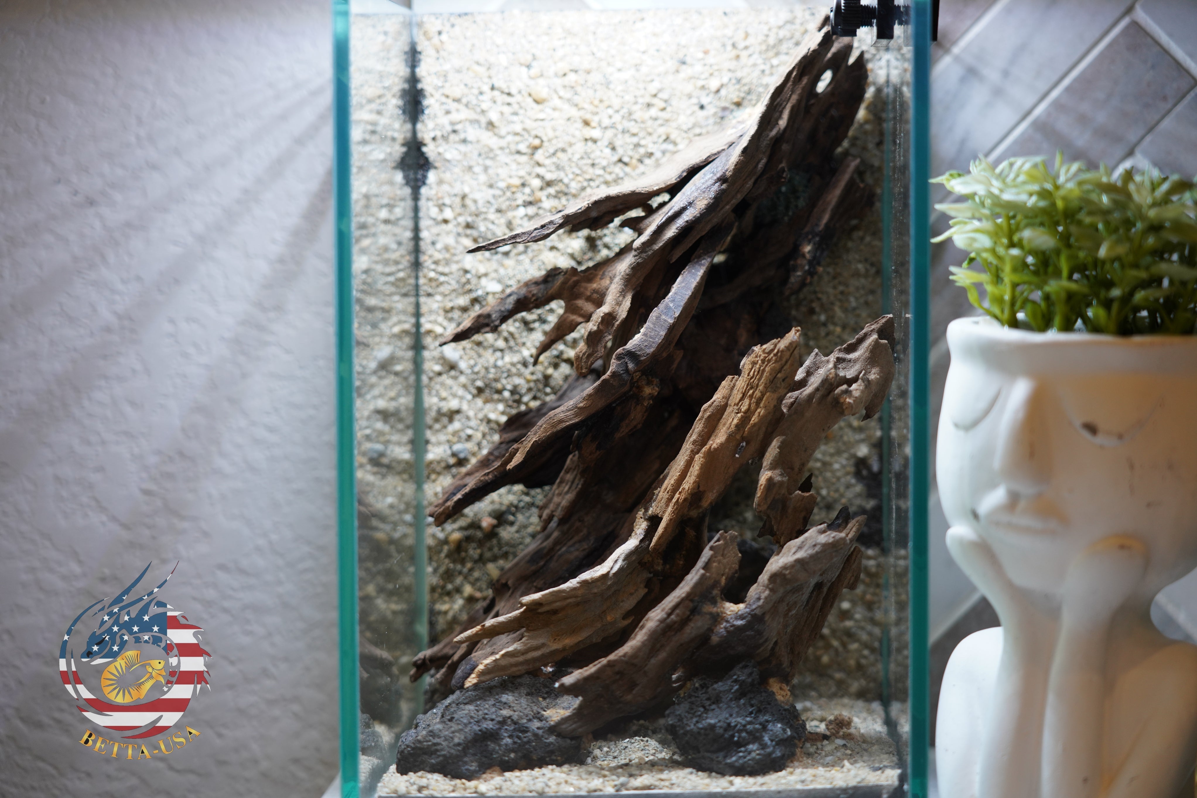 [SCAPE-54] Nature Aquarium Aquascape Driftwood– 1.6 Gallons