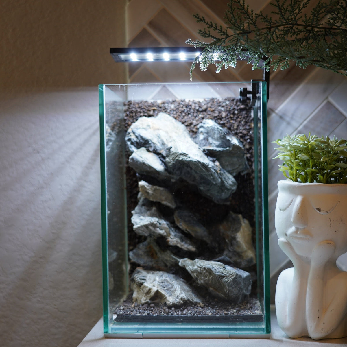 [SCAPE-55]  Mountain-Inspired Aquarium Aquascape – 1.6 Gallons