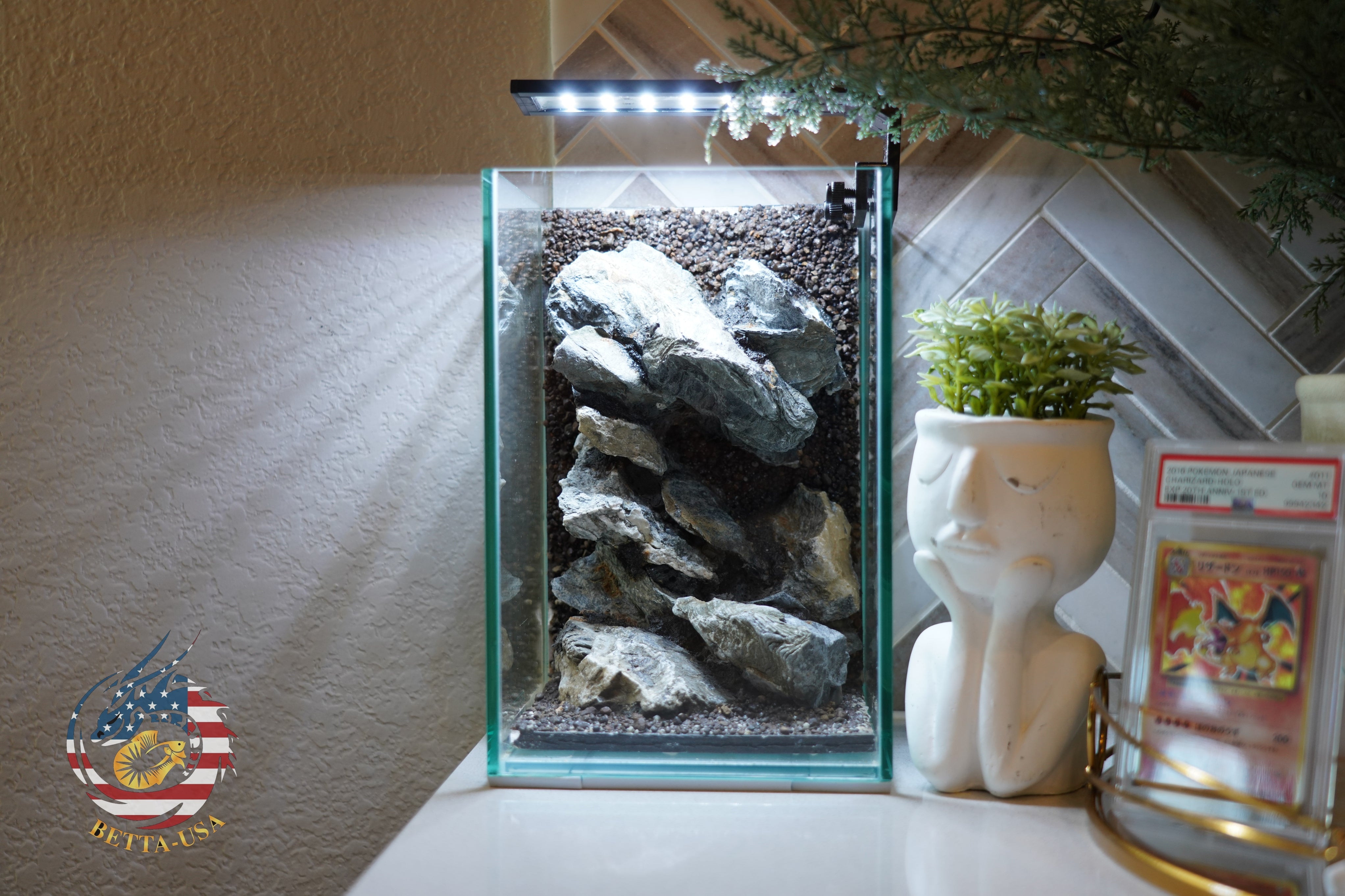 [SCAPE-55]  Mountain-Inspired Aquarium Aquascape – 1.6 Gallons