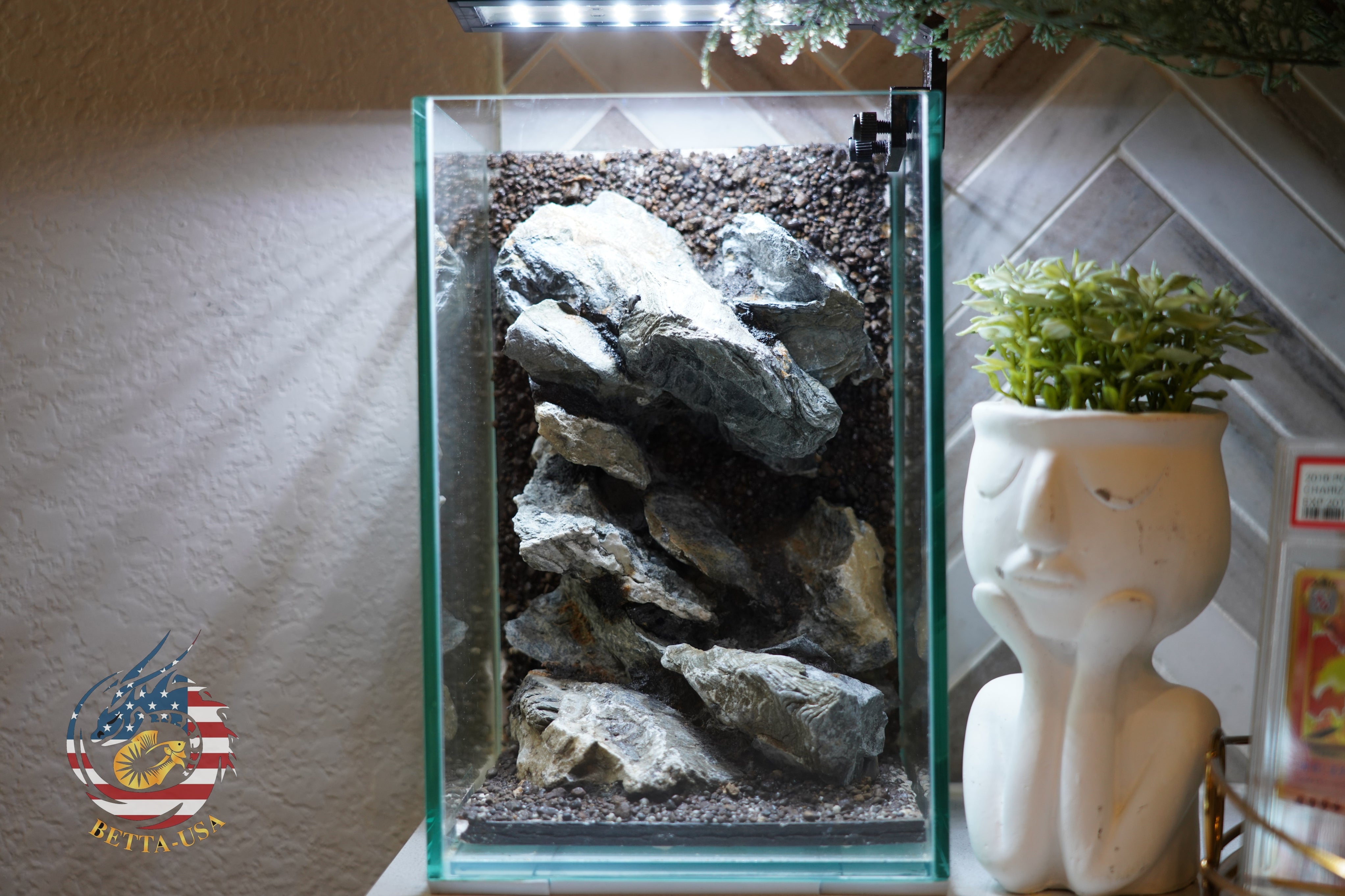 [SCAPE-55]  Mountain-Inspired Aquarium Aquascape – 1.6 Gallons