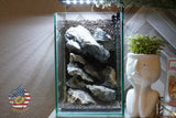 [SCAPE-55]  Mountain-Inspired Aquarium Aquascape – 1.6 Gallons