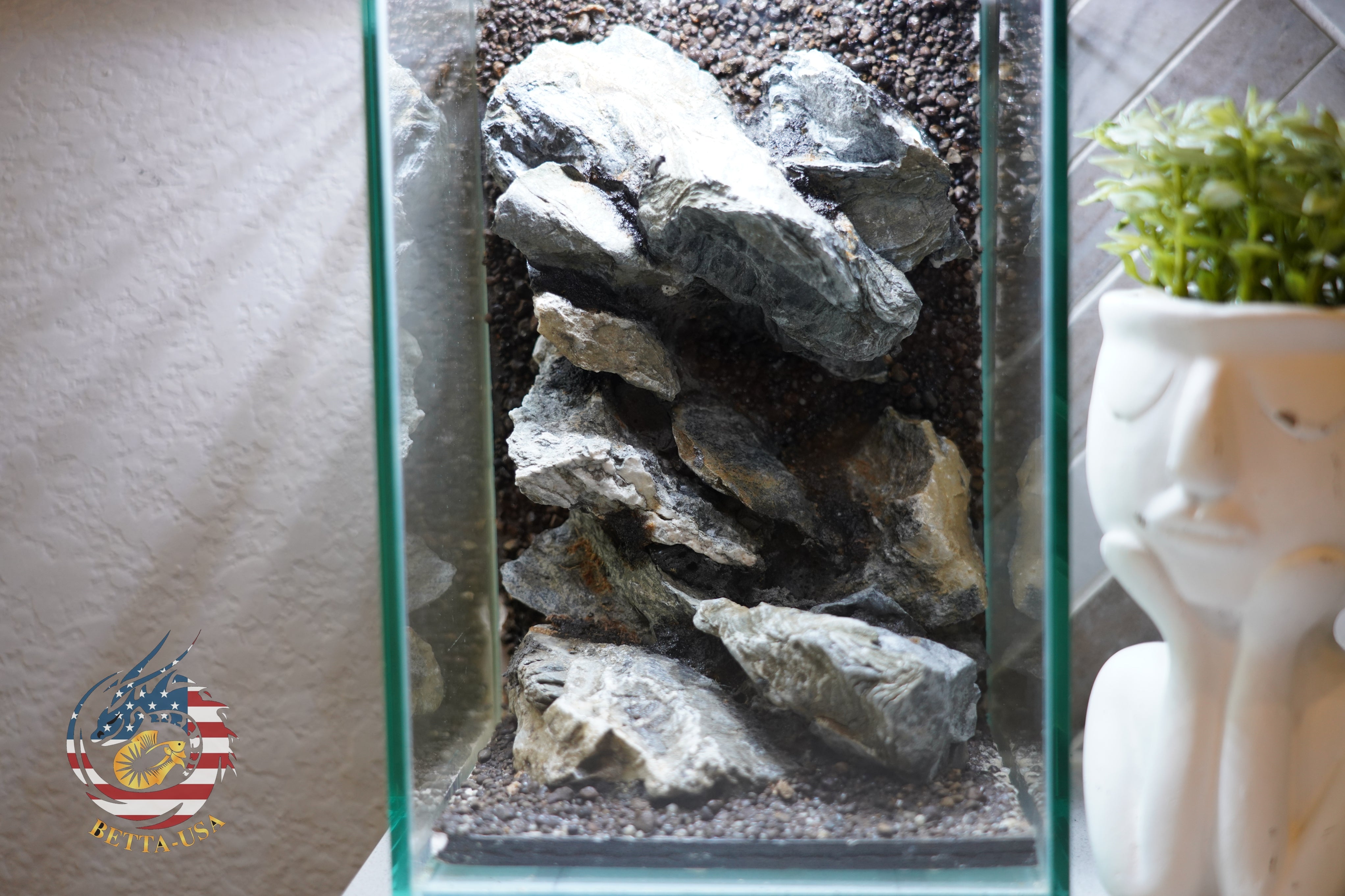 [SCAPE-55]  Mountain-Inspired Aquarium Aquascape – 1.6 Gallons