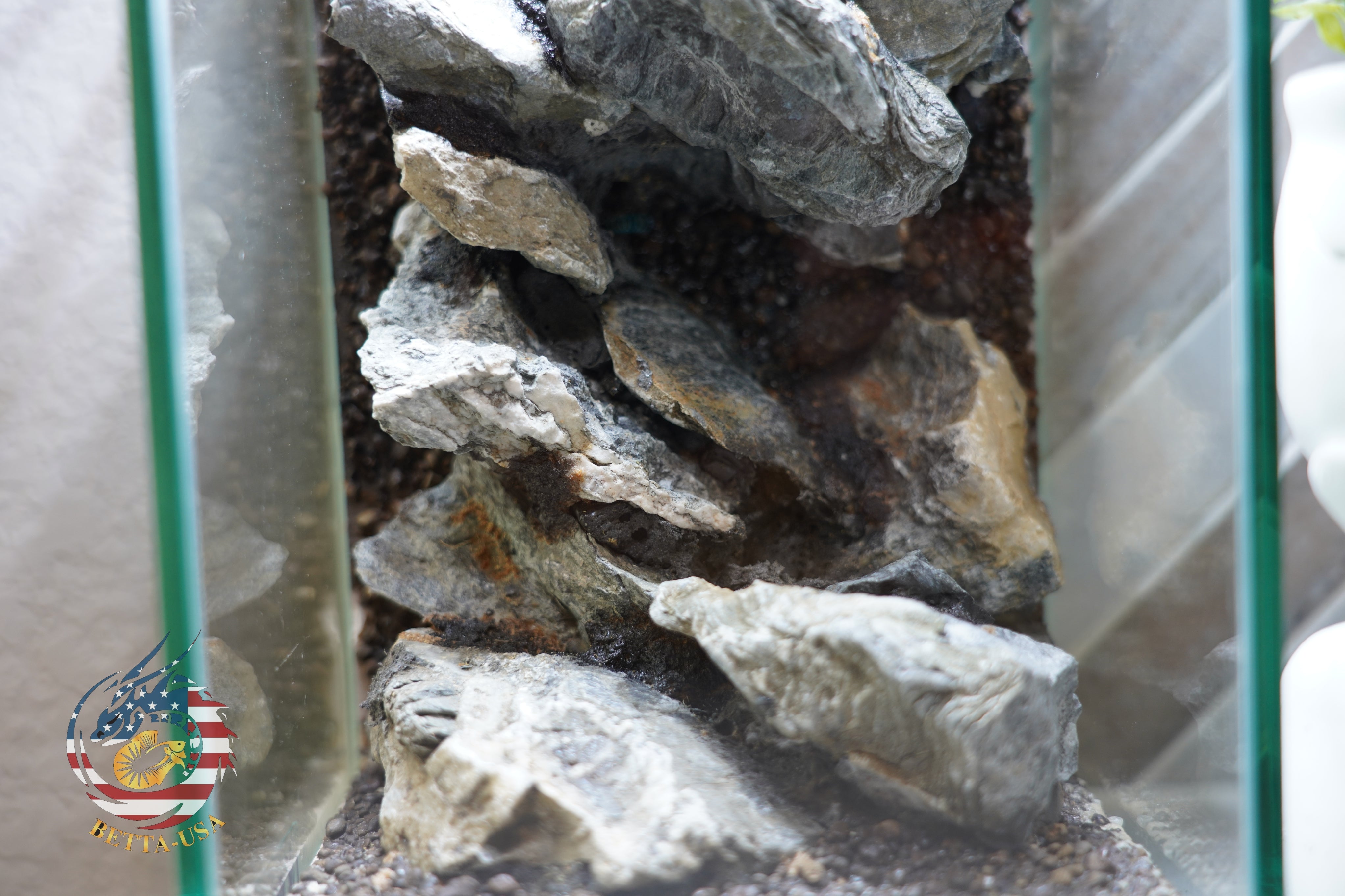 [SCAPE-55]  Mountain-Inspired Aquarium Aquascape – 1.6 Gallons