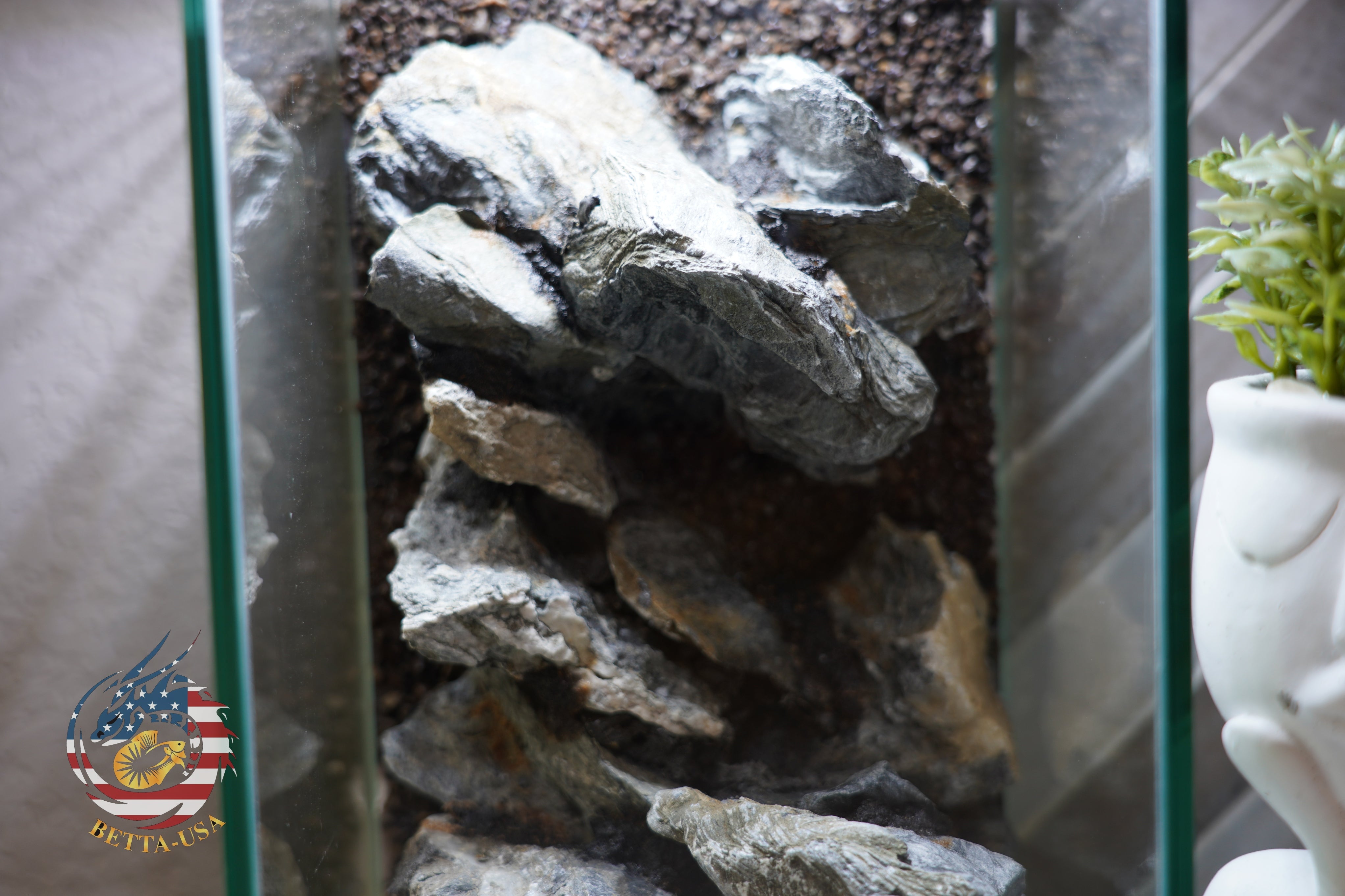 [SCAPE-55]  Mountain-Inspired Aquarium Aquascape – 1.6 Gallons