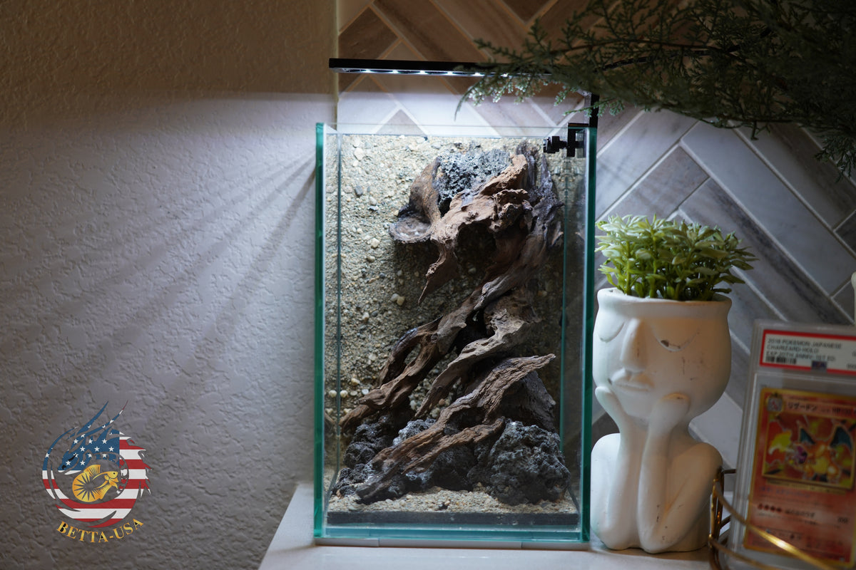 [SCAPE-56] Nature Aquarium Aquascape Diftwood – 1.6 Gallons