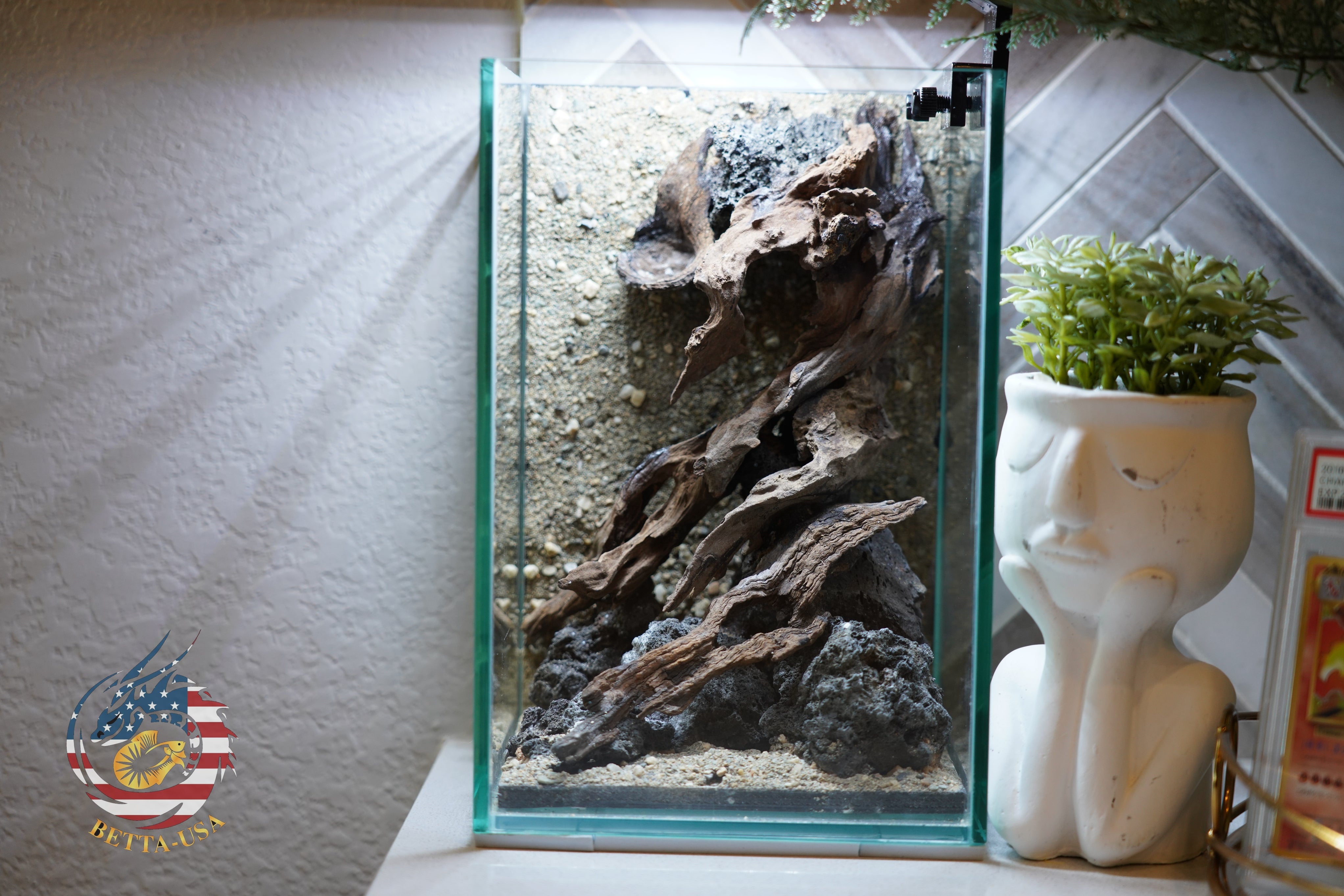 [SCAPE-56] Nature Aquarium Aquascape Diftwood – 1.6 Gallons