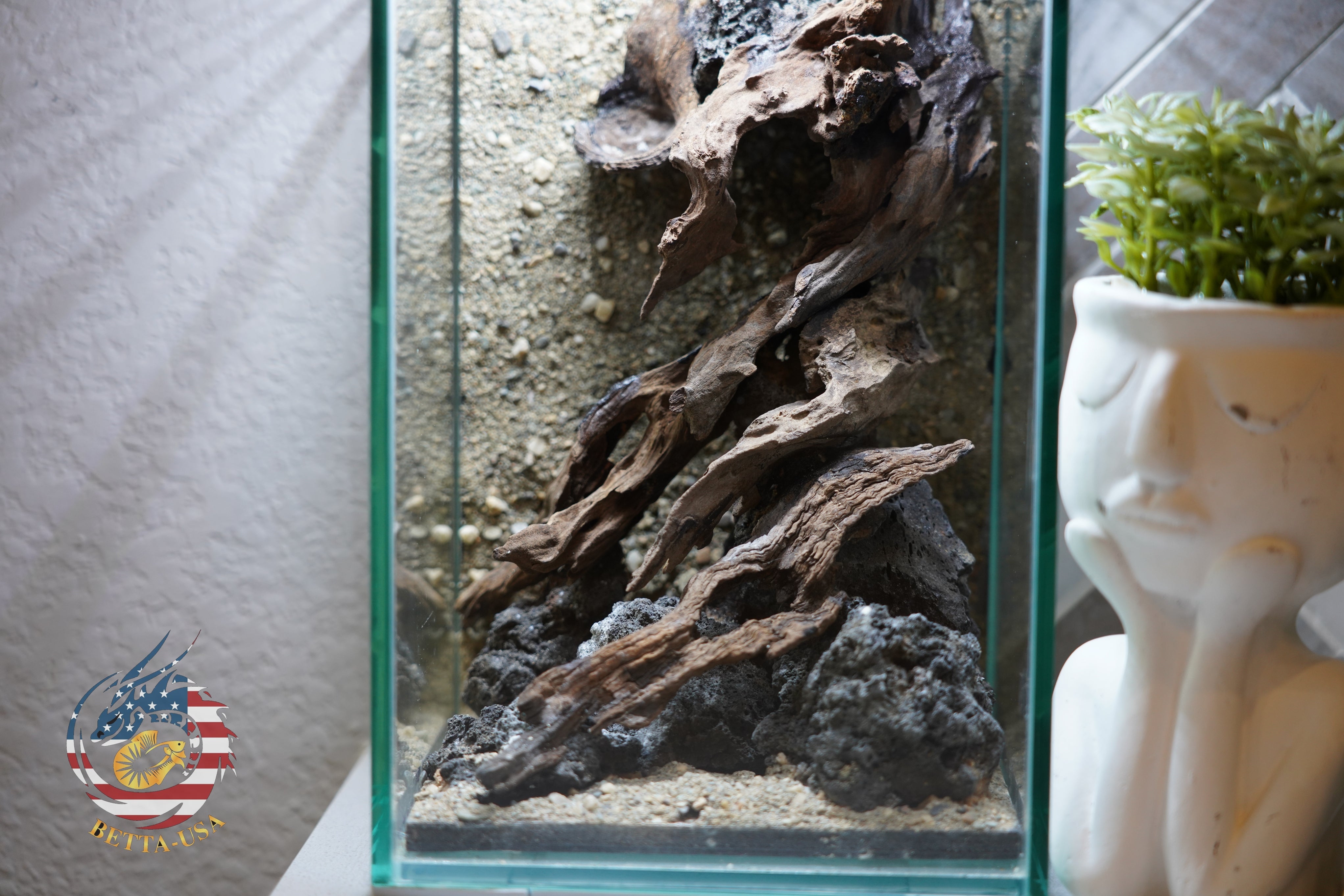 [SCAPE-56] Nature Aquarium Aquascape Diftwood – 1.6 Gallons