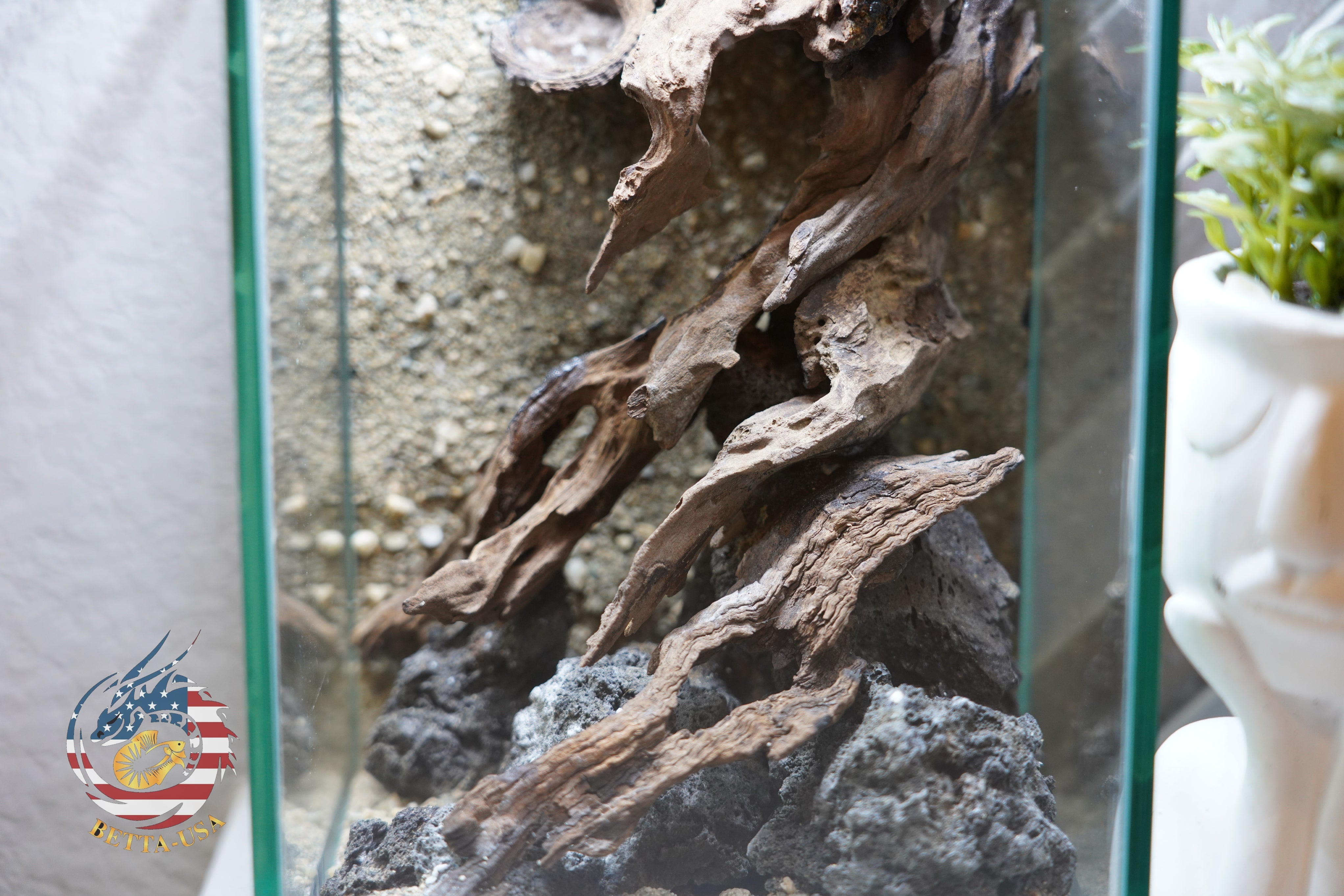 [SCAPE-56] Nature Aquarium Aquascape Diftwood – 1.6 Gallons