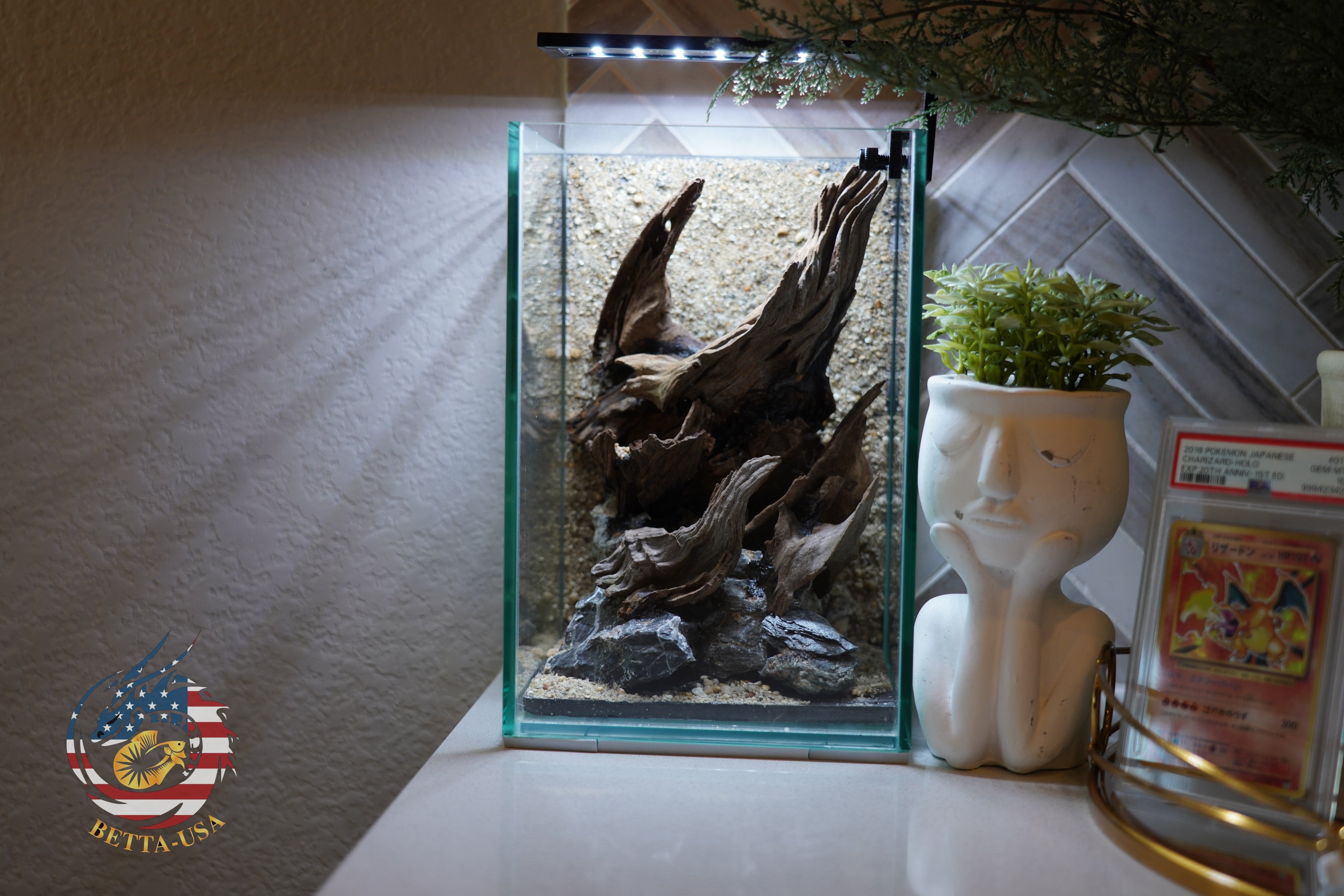 [SCAPE-58] Nature Aquarium Aquascape Diftwood – 1.6 Gallons