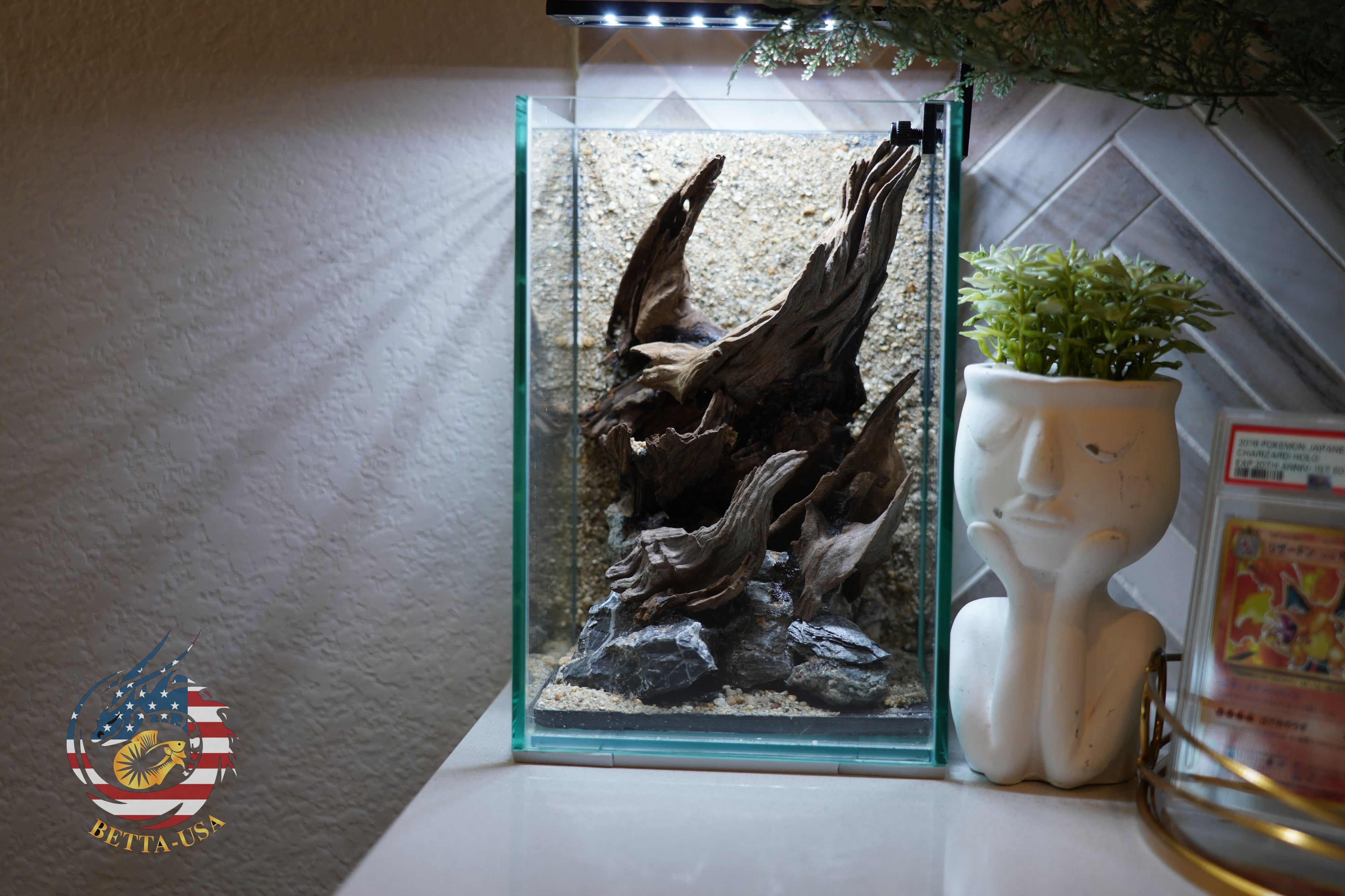 [SCAPE-58] Nature Aquarium Aquascape Diftwood – 1.6 Gallons