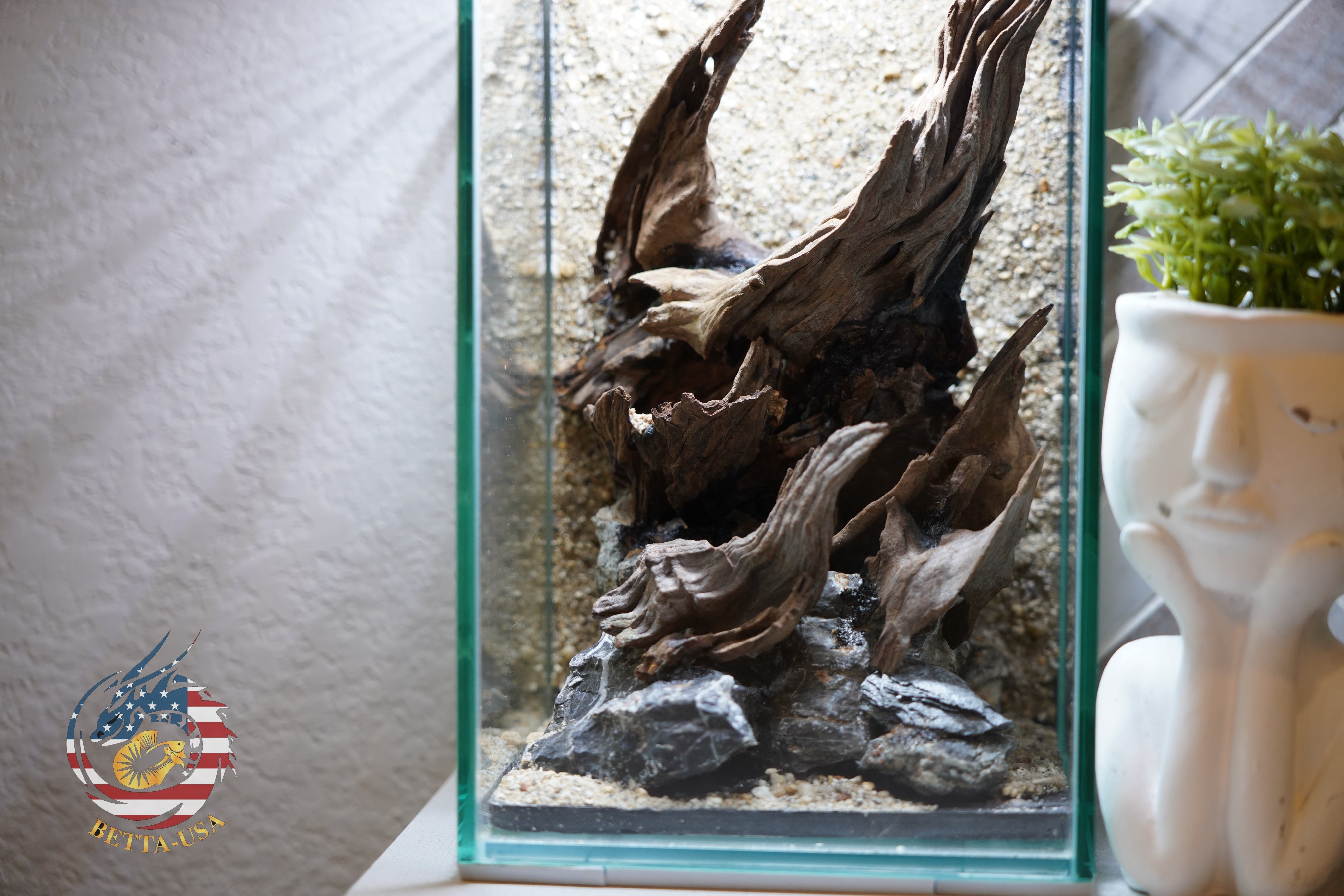 [SCAPE-58] Nature Aquarium Aquascape Diftwood – 1.6 Gallons