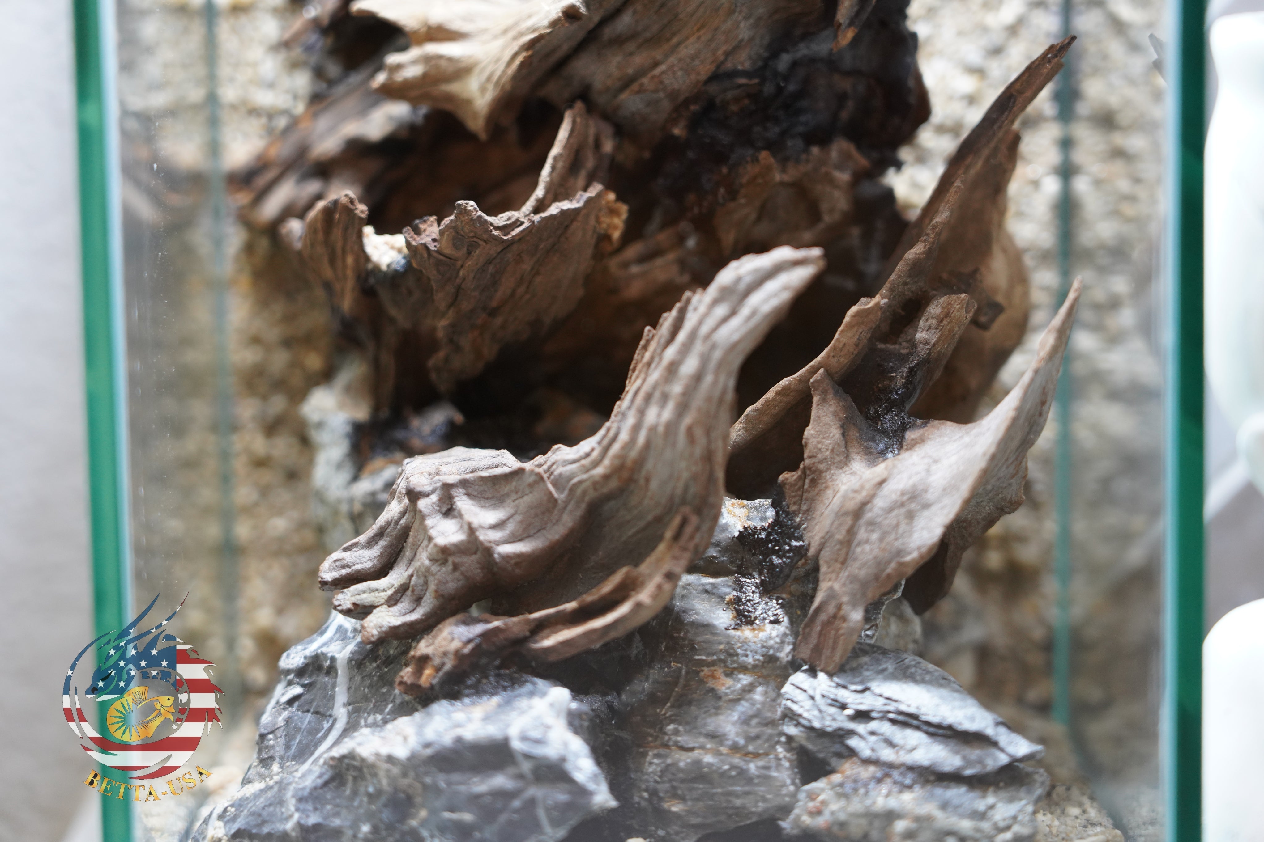 [SCAPE-58] Nature Aquarium Aquascape Diftwood – 1.6 Gallons