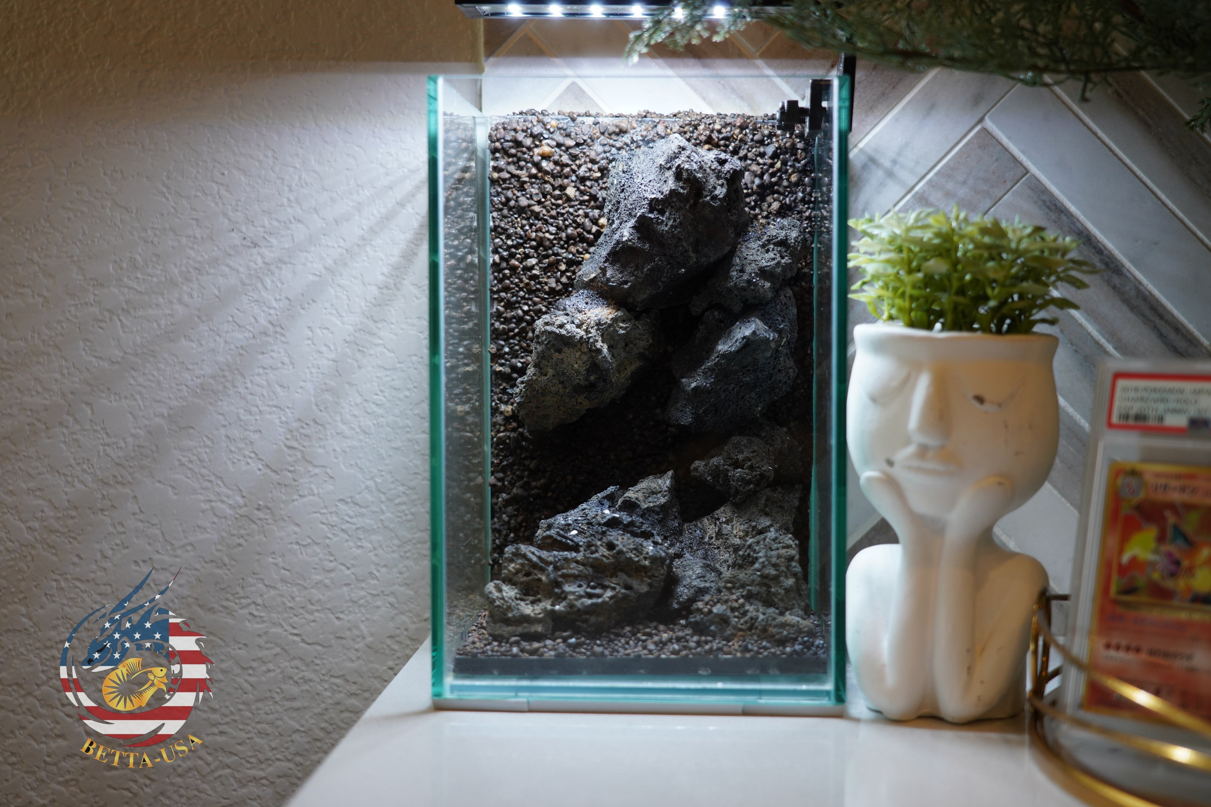 [SCAPE-59]  Mountain-Inspired Aquarium Aquascape – 1.6 Gallons (Copy)