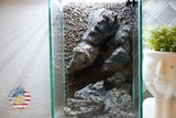 [SCAPE-59]  Mountain-Inspired Aquarium Aquascape – 1.6 Gallons (Copy)