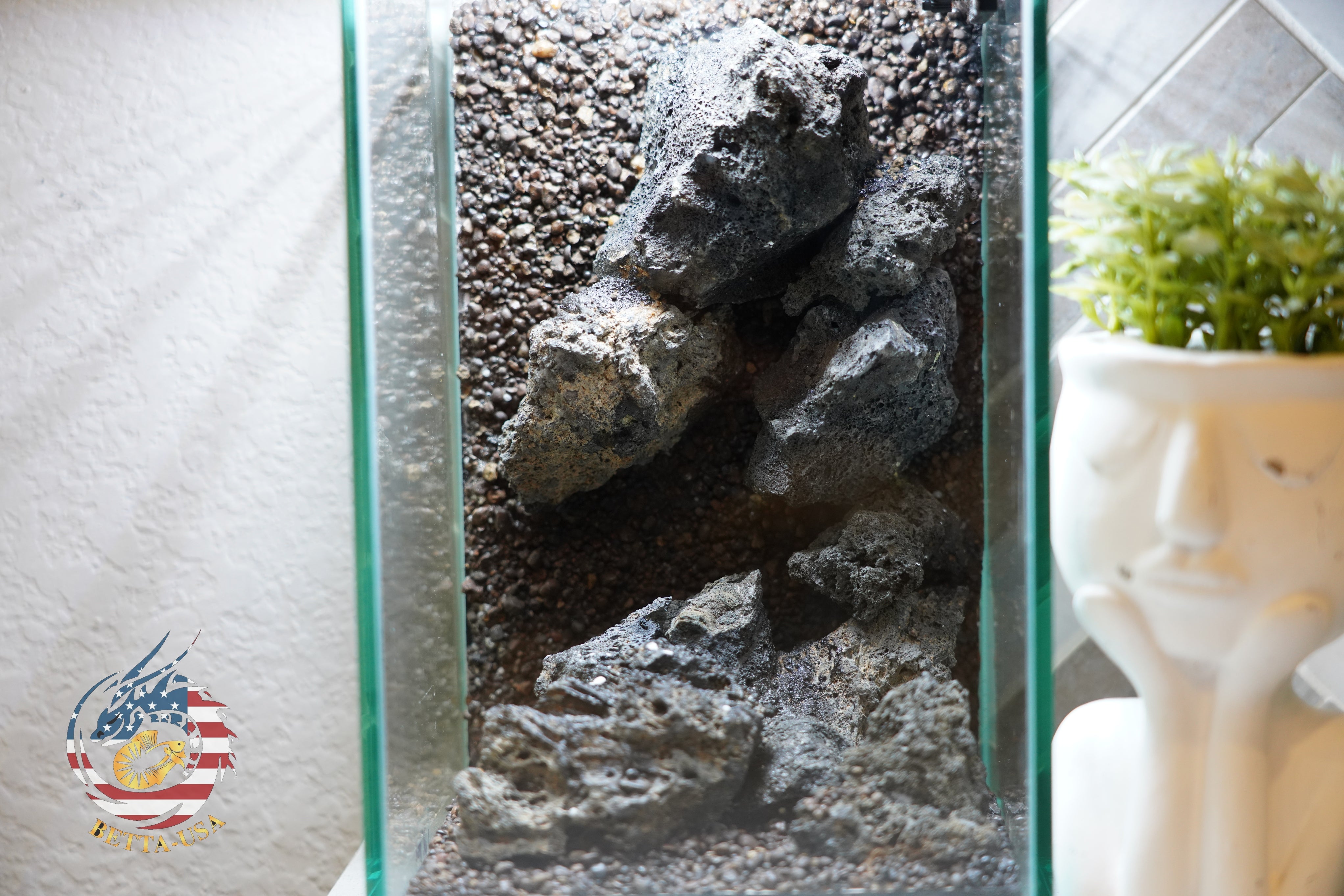 [SCAPE-59]  Mountain-Inspired Aquarium Aquascape – 1.6 Gallons (Copy)