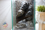 [SCAPE-59]  Mountain-Inspired Aquarium Aquascape – 1.6 Gallons (Copy)