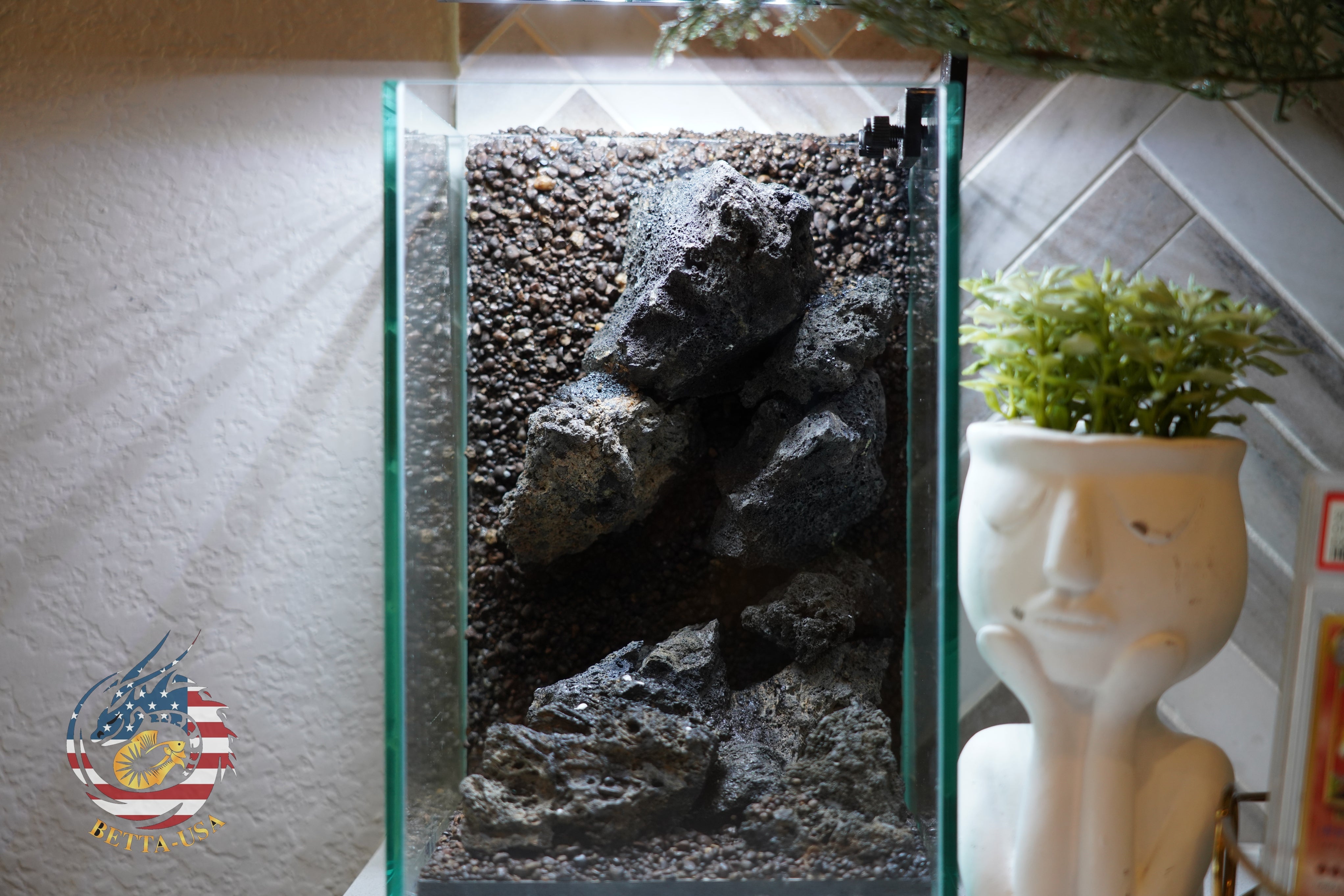 [SCAPE-59]  Mountain-Inspired Aquarium Aquascape – 1.6 Gallons (Copy)