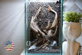 [SCAPE-60] Nature Aquarium Aquascape Diftwood – 1.6 Gallons
