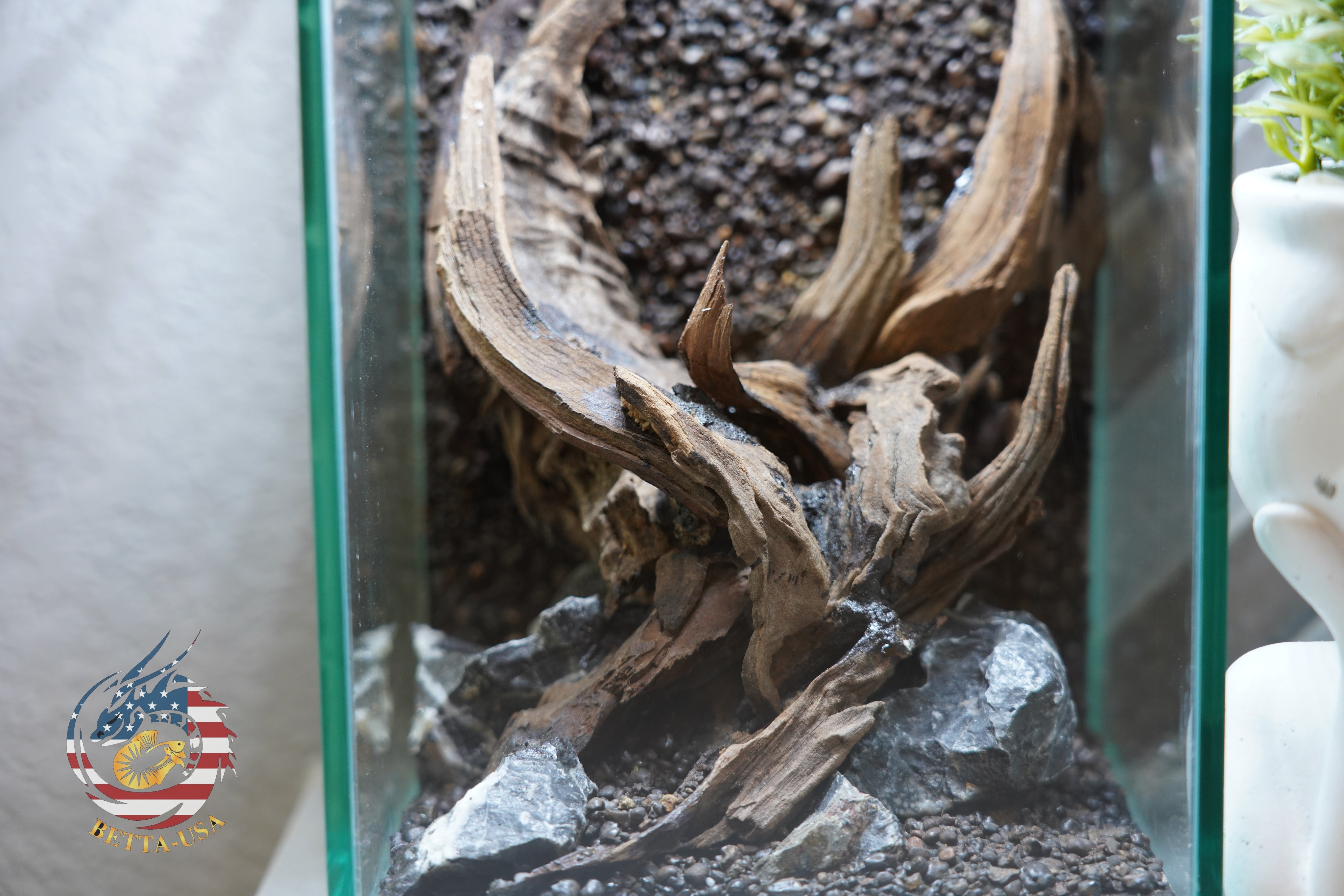 [SCAPE-60] Nature Aquarium Aquascape Diftwood – 1.6 Gallons