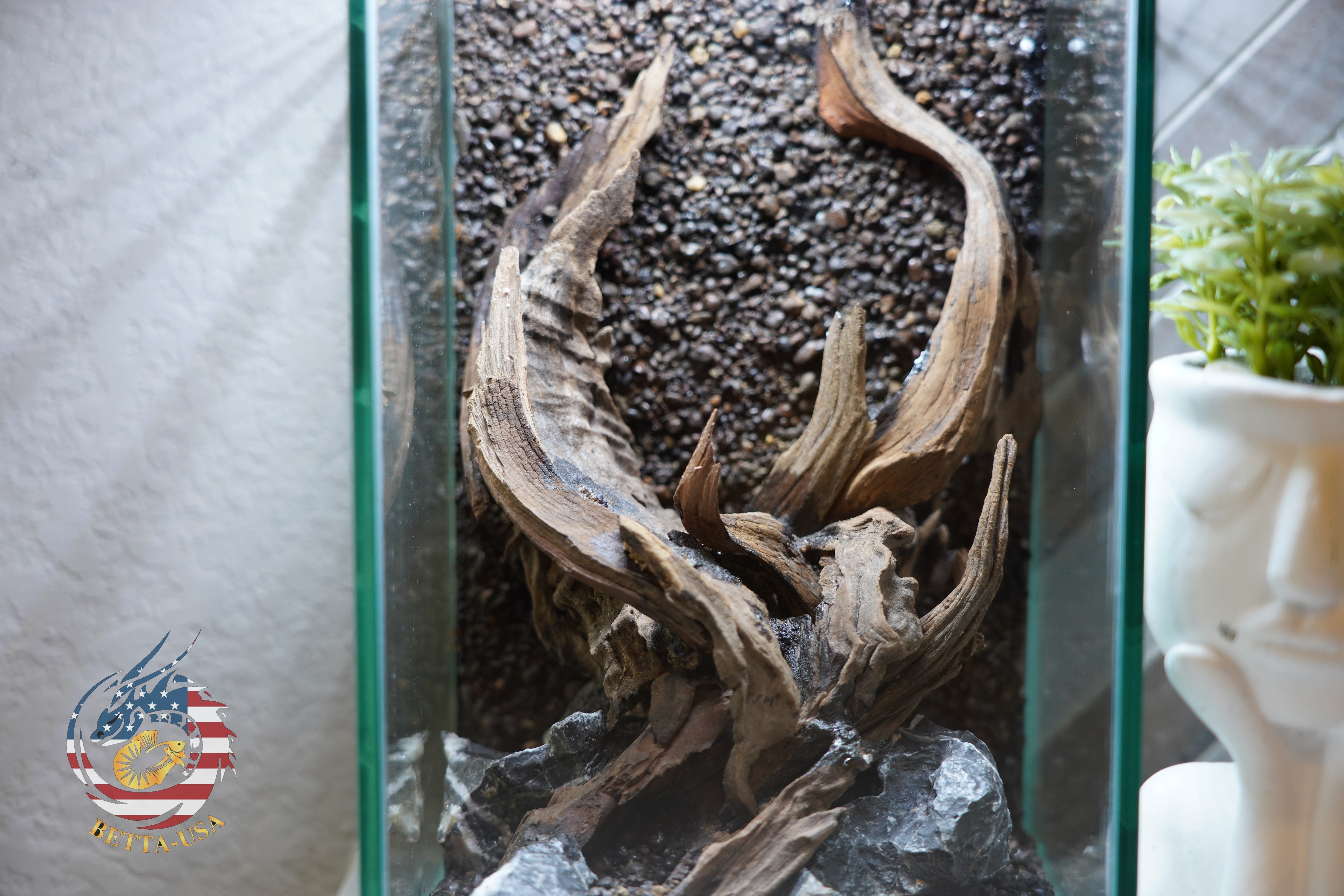 [SCAPE-60] Nature Aquarium Aquascape Diftwood – 1.6 Gallons