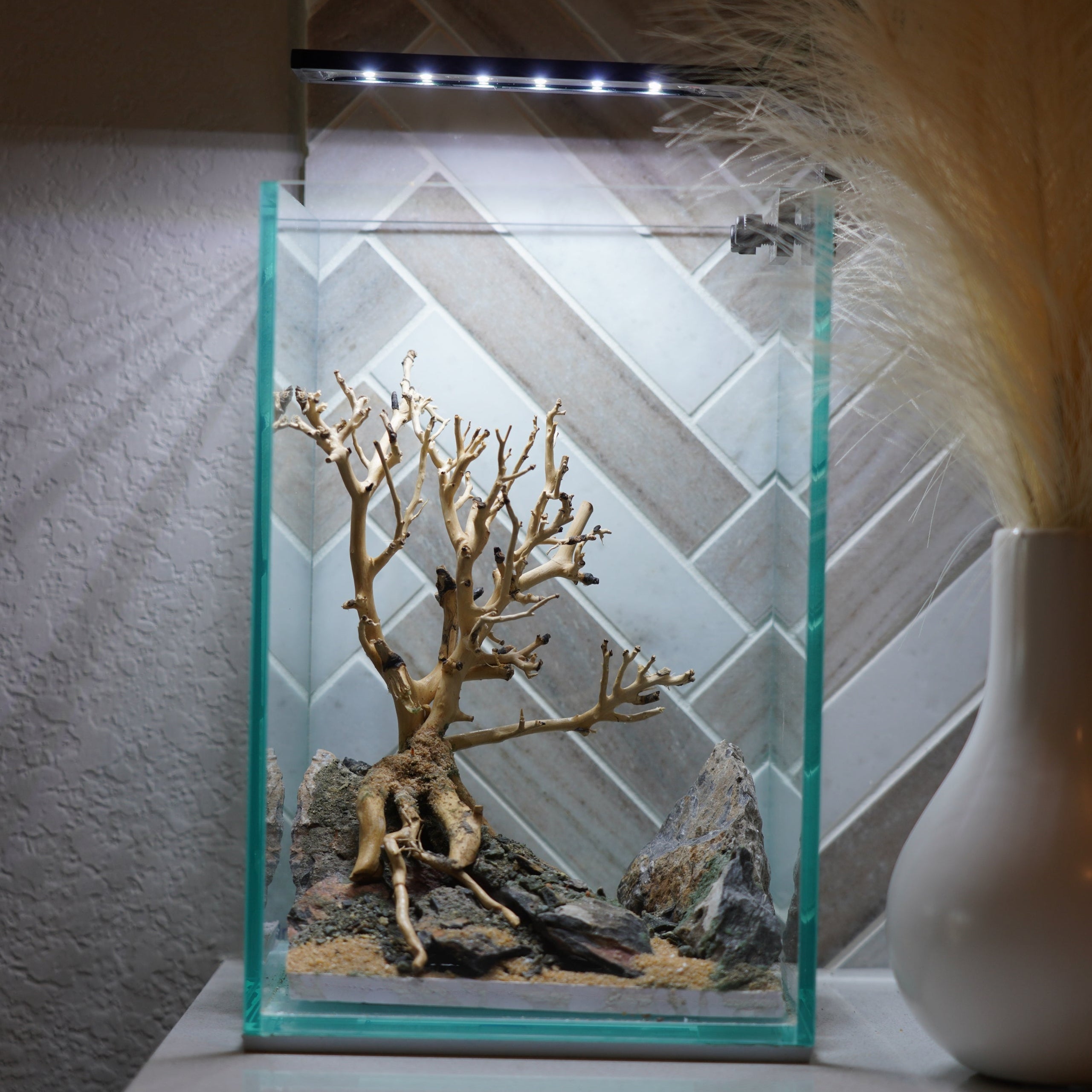 [SCAPE-61] Bonsai On Rock  Nature Aquarium Aquascape– 1.6 Gallons