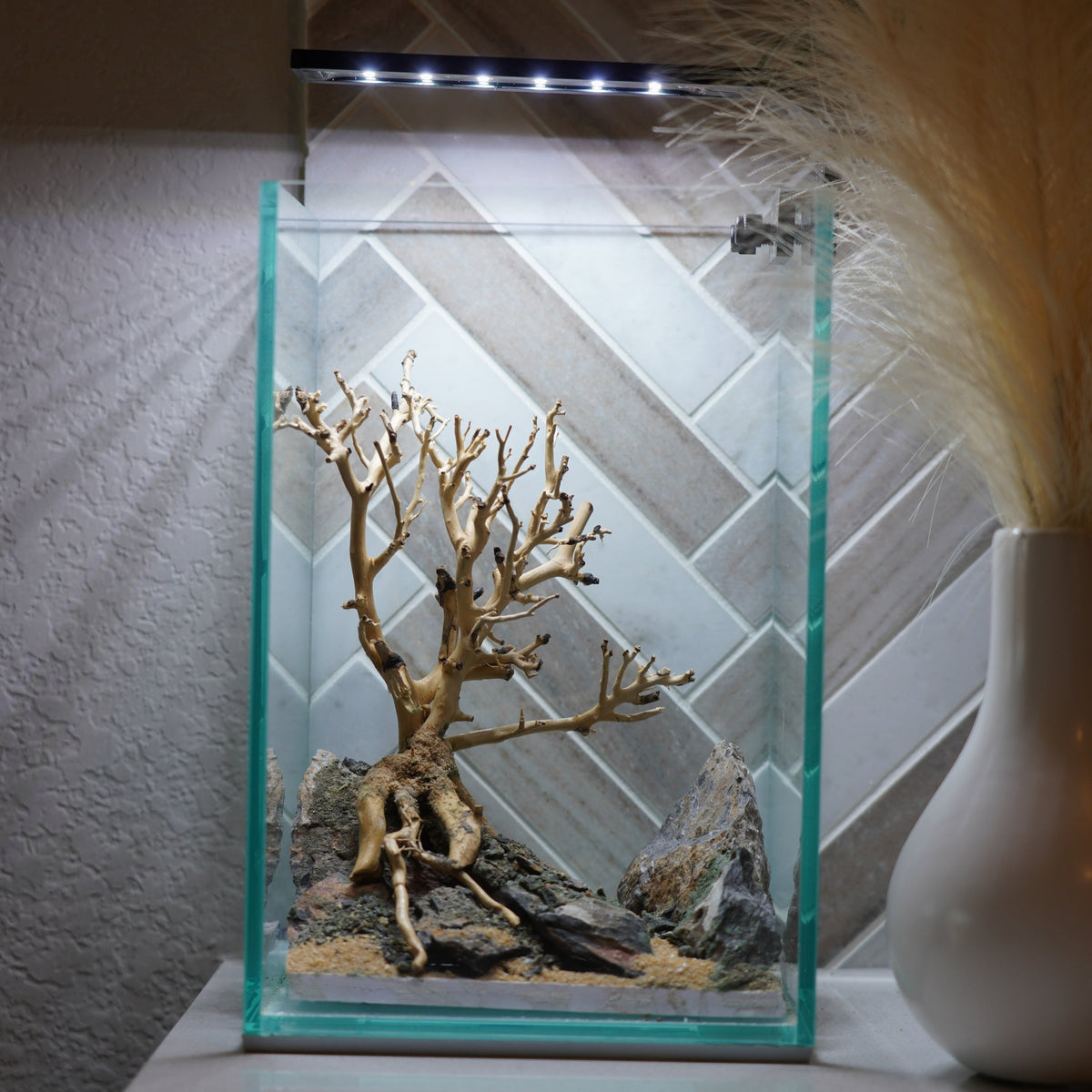 [SCAPE-61] Bonsai On Rock  Nature Aquarium Aquascape– 1.6 Gallons