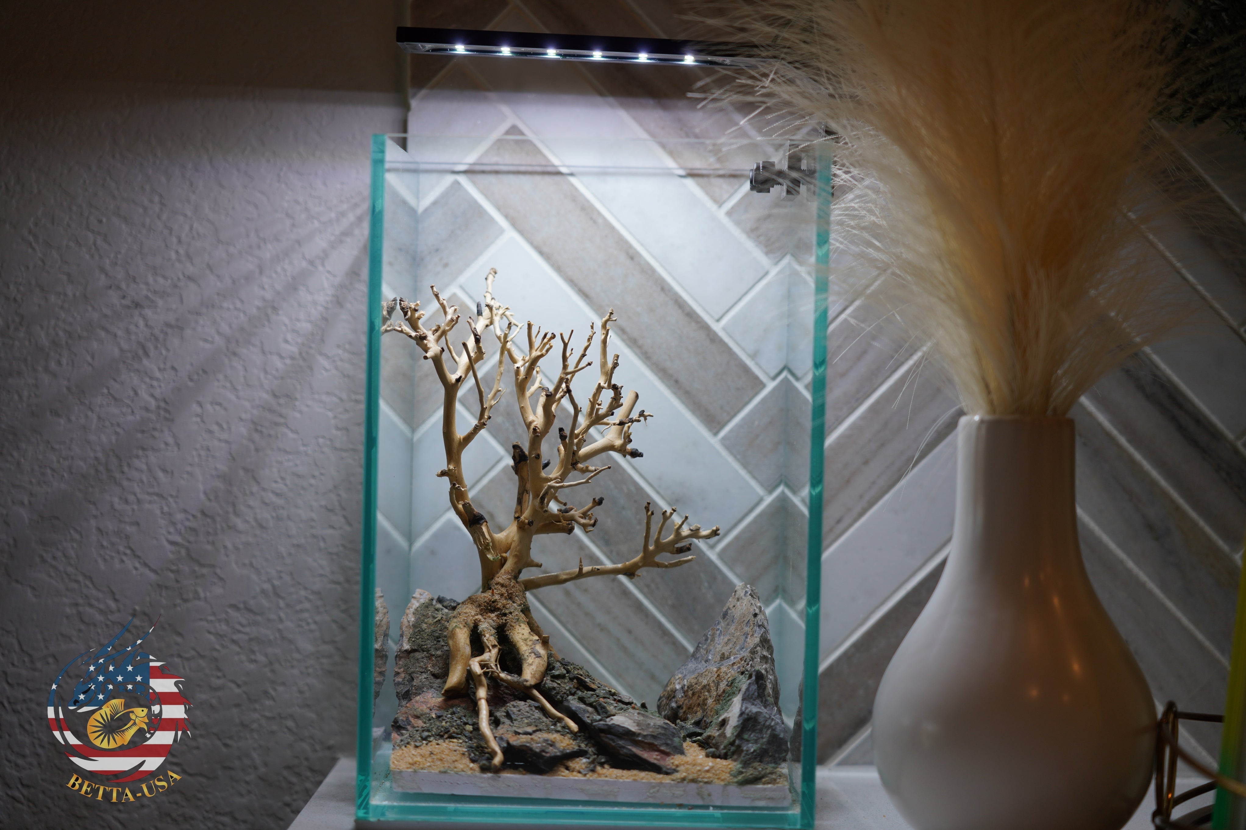 [SCAPE-61] Bonsai On Rock  Nature Aquarium Aquascape– 1.6 Gallons