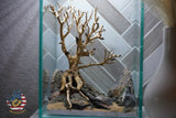 [SCAPE-61] Bonsai On Rock  Nature Aquarium Aquascape– 1.6 Gallons