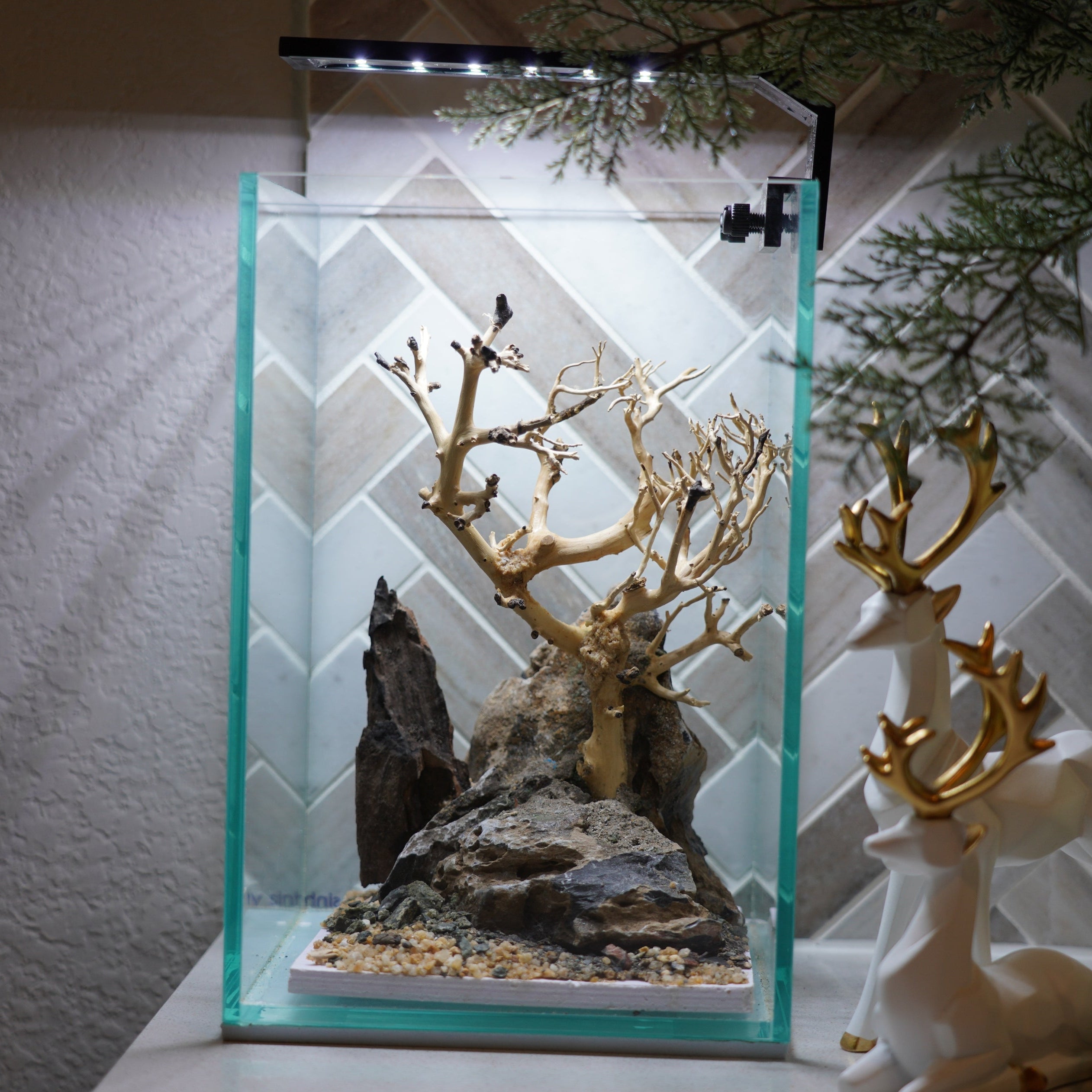 [SCAPE-62] Bonsai On Rock  Nature Aquarium Aquascape– 1.6 Gallons