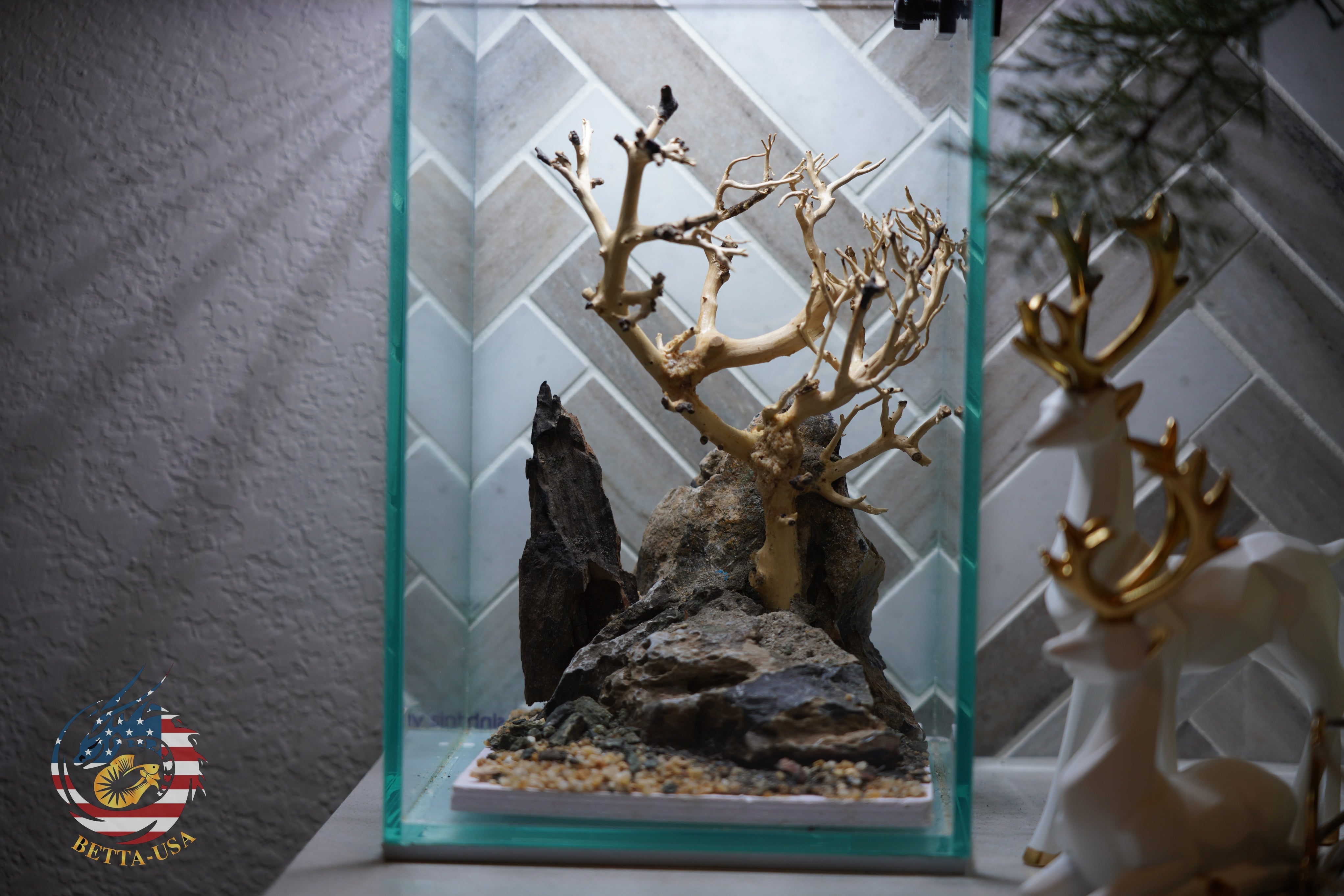 [SCAPE-62] Bonsai On Rock  Nature Aquarium Aquascape– 1.6 Gallons