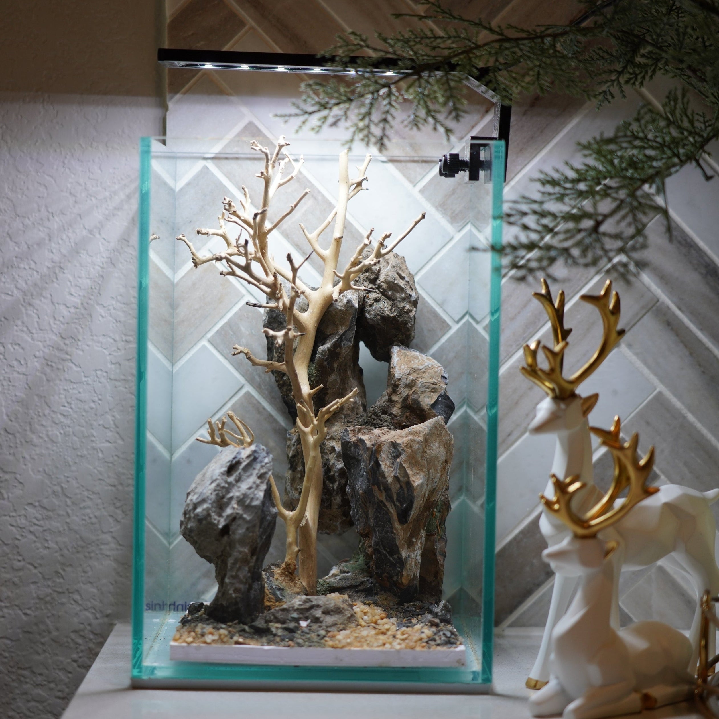 [SCAPE-63] Bonsai On Rock  Nature Aquarium Aquascape– 1.6 Gallons