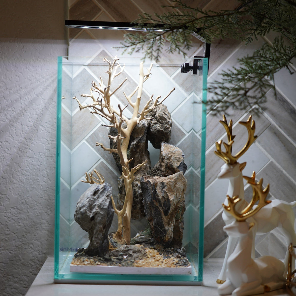 [SCAPE-63] Bonsai On Rock  Nature Aquarium Aquascape– 1.6 Gallons