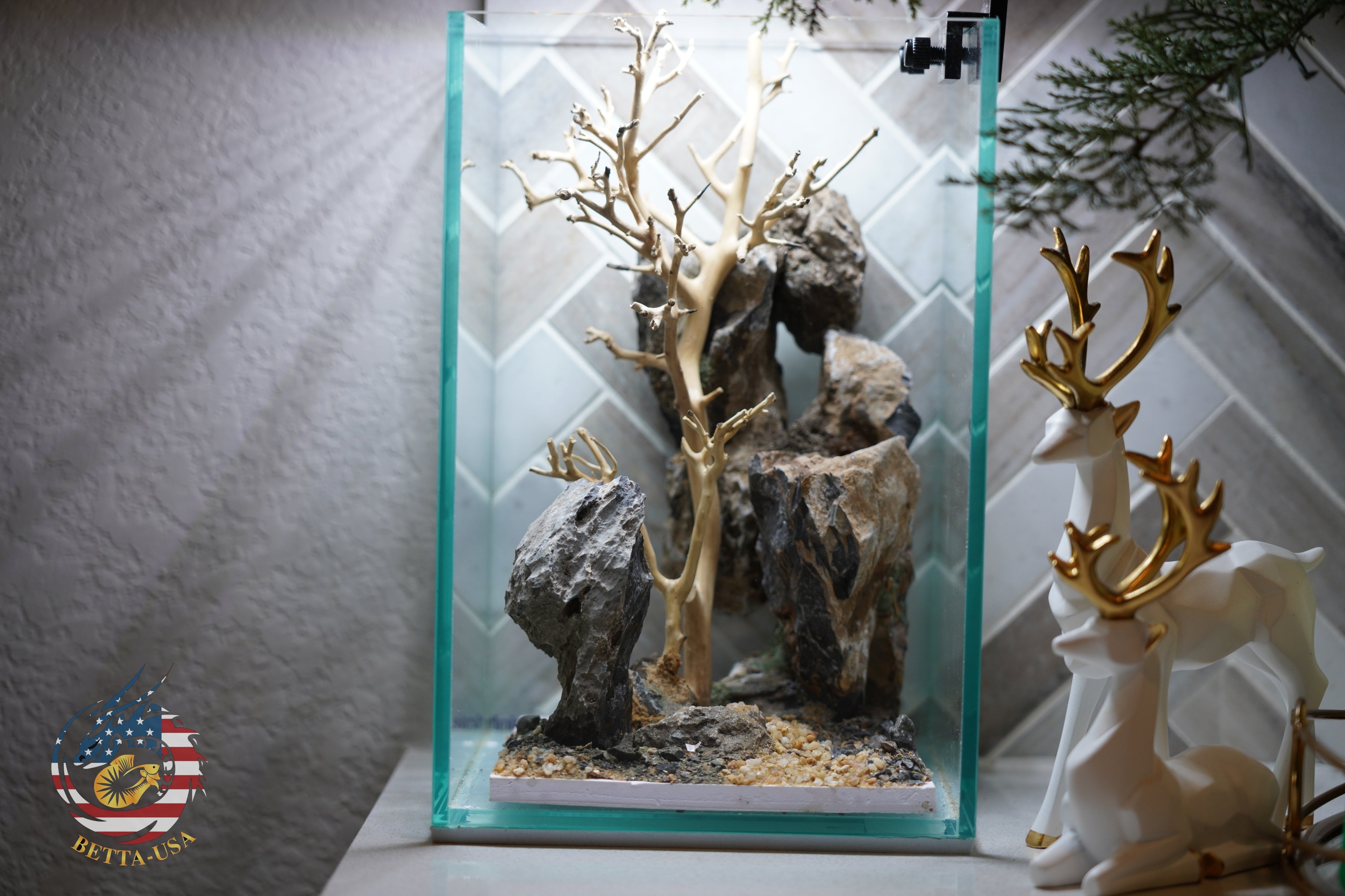 [SCAPE-63] Bonsai On Rock  Nature Aquarium Aquascape– 1.6 Gallons