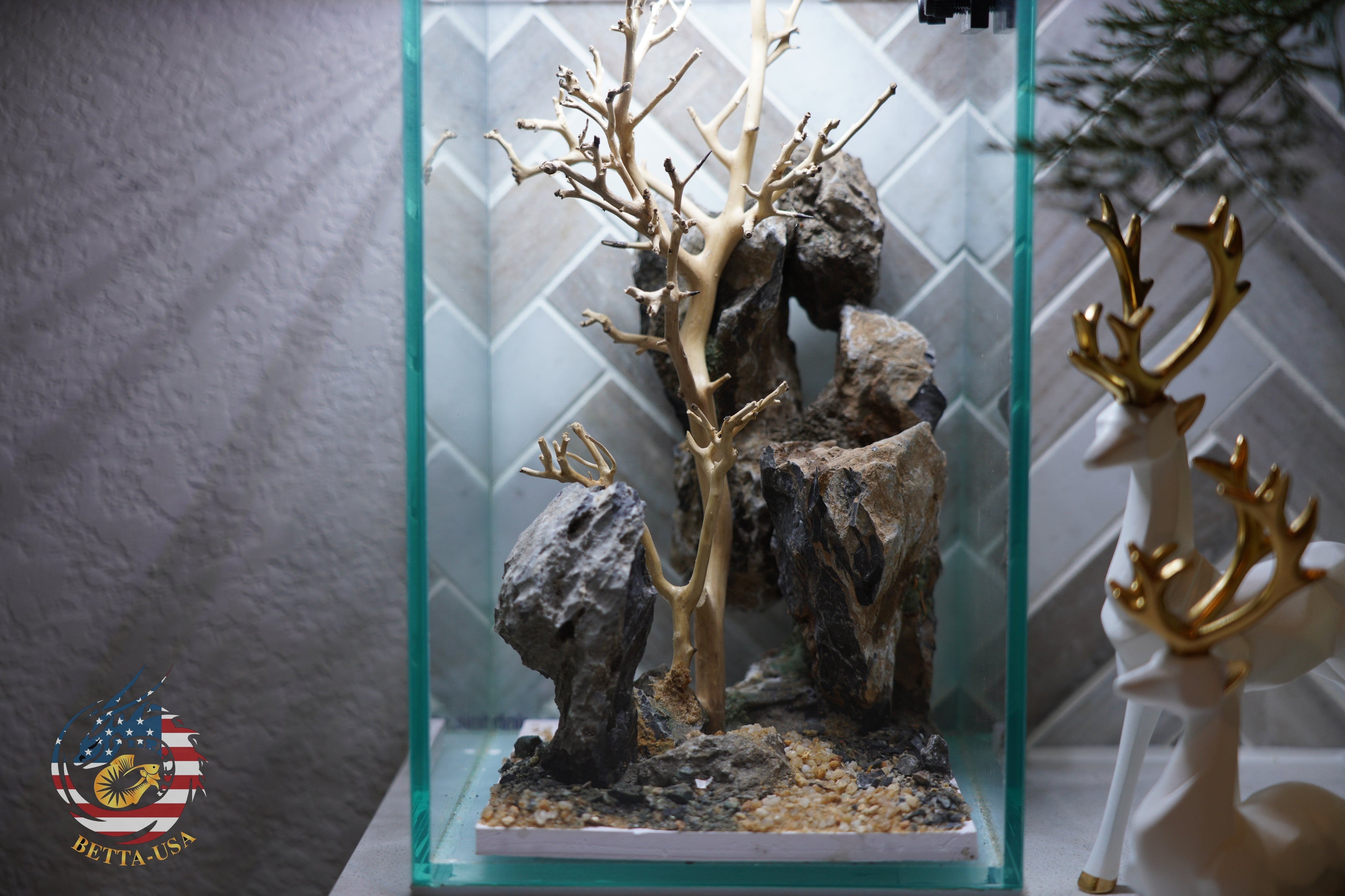 [SCAPE-63] Bonsai On Rock  Nature Aquarium Aquascape– 1.6 Gallons