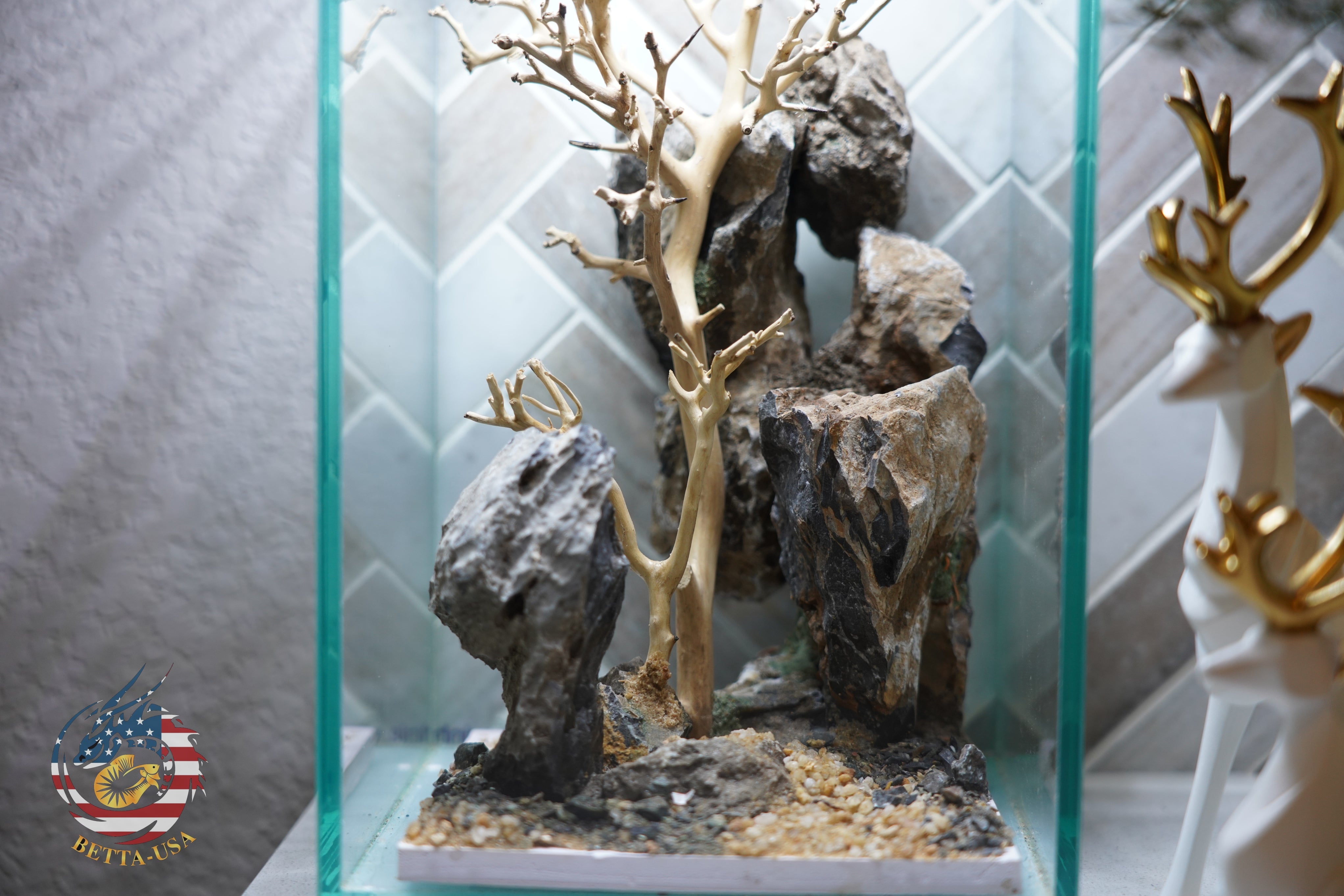 [SCAPE-63] Bonsai On Rock  Nature Aquarium Aquascape– 1.6 Gallons